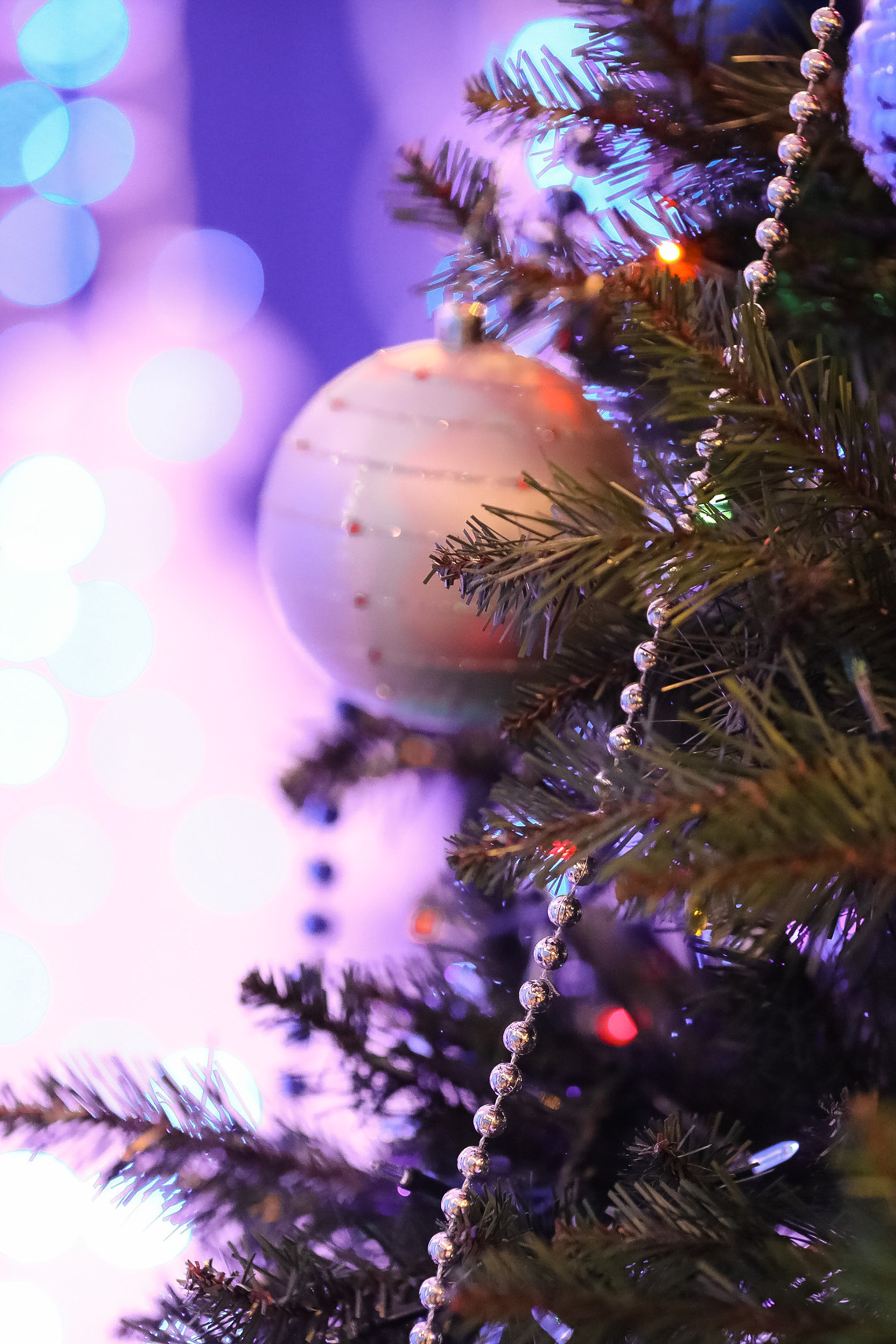 ОТЗЫВЫ. Сергей Голубев | Фотограф Магадан | Фотостудия | Фотошкола | Фотоклуб