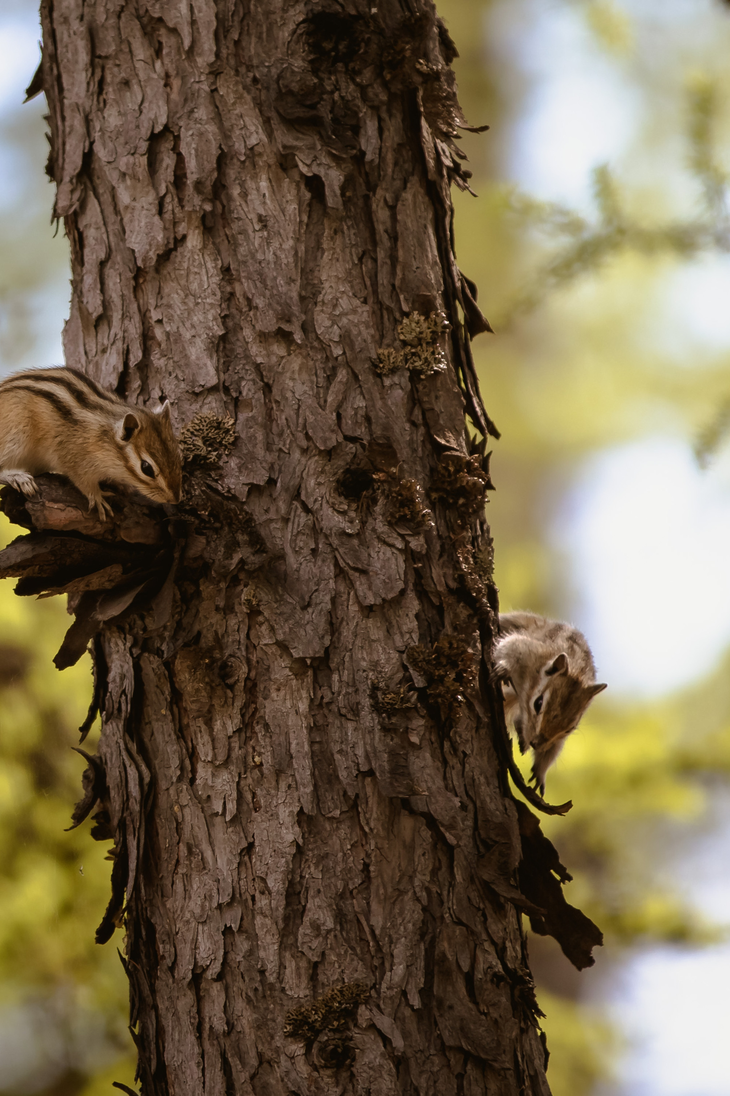 ОТЗЫВЫ. Сергей Голубев | Фотограф Магадан | Фотостудия | Фотошкола | Фотоклуб