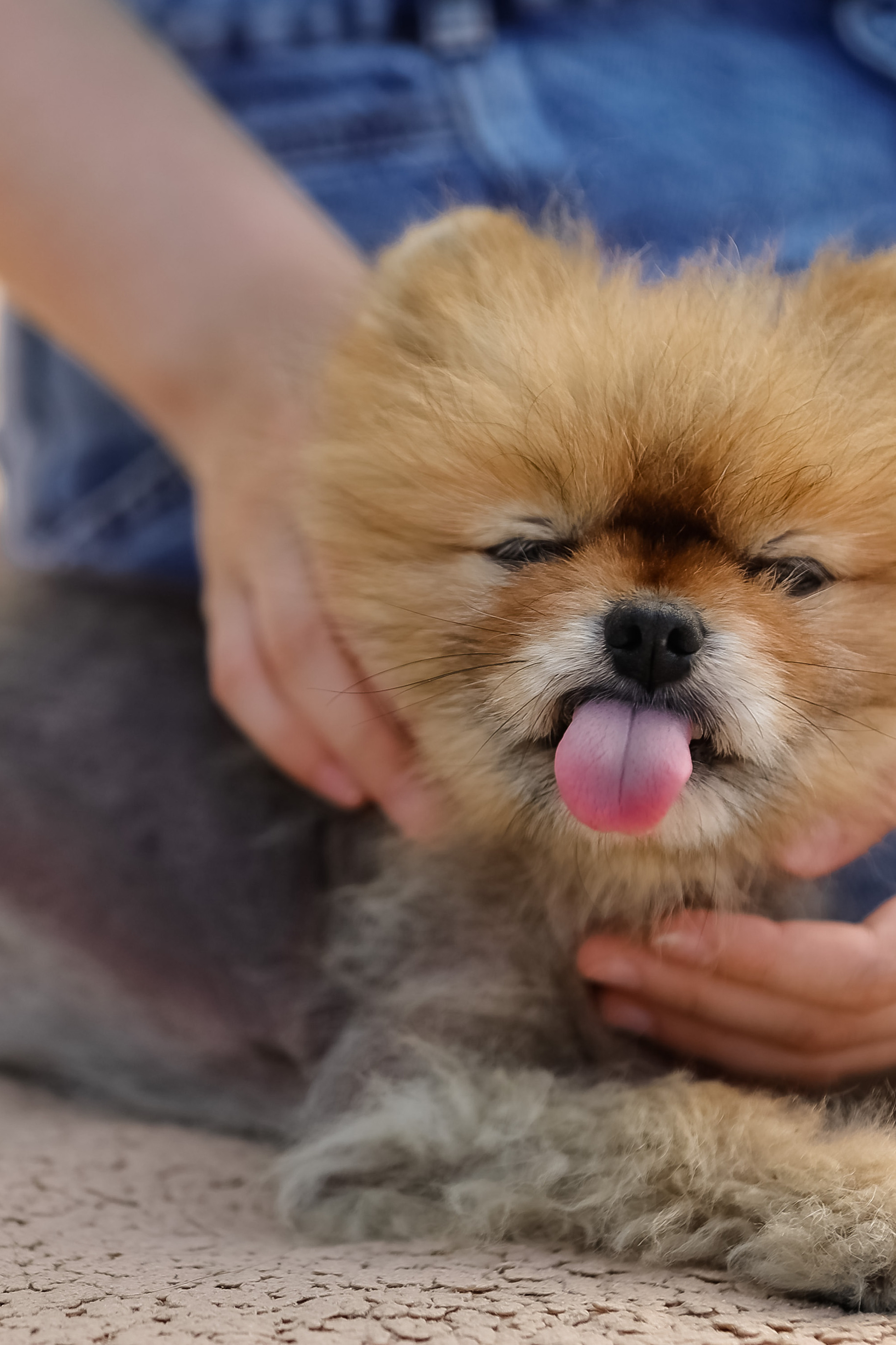 ОТЗЫВЫ. Сергей Голубев | Фотограф Магадан | Фотостудия | Фотошкола | Фотоклуб