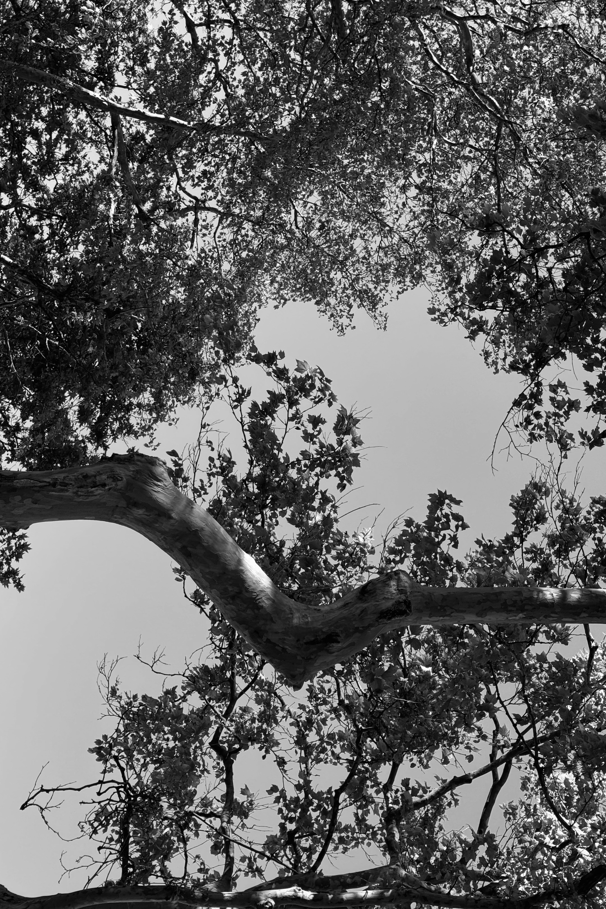 Work. Alina Kukleva photographer