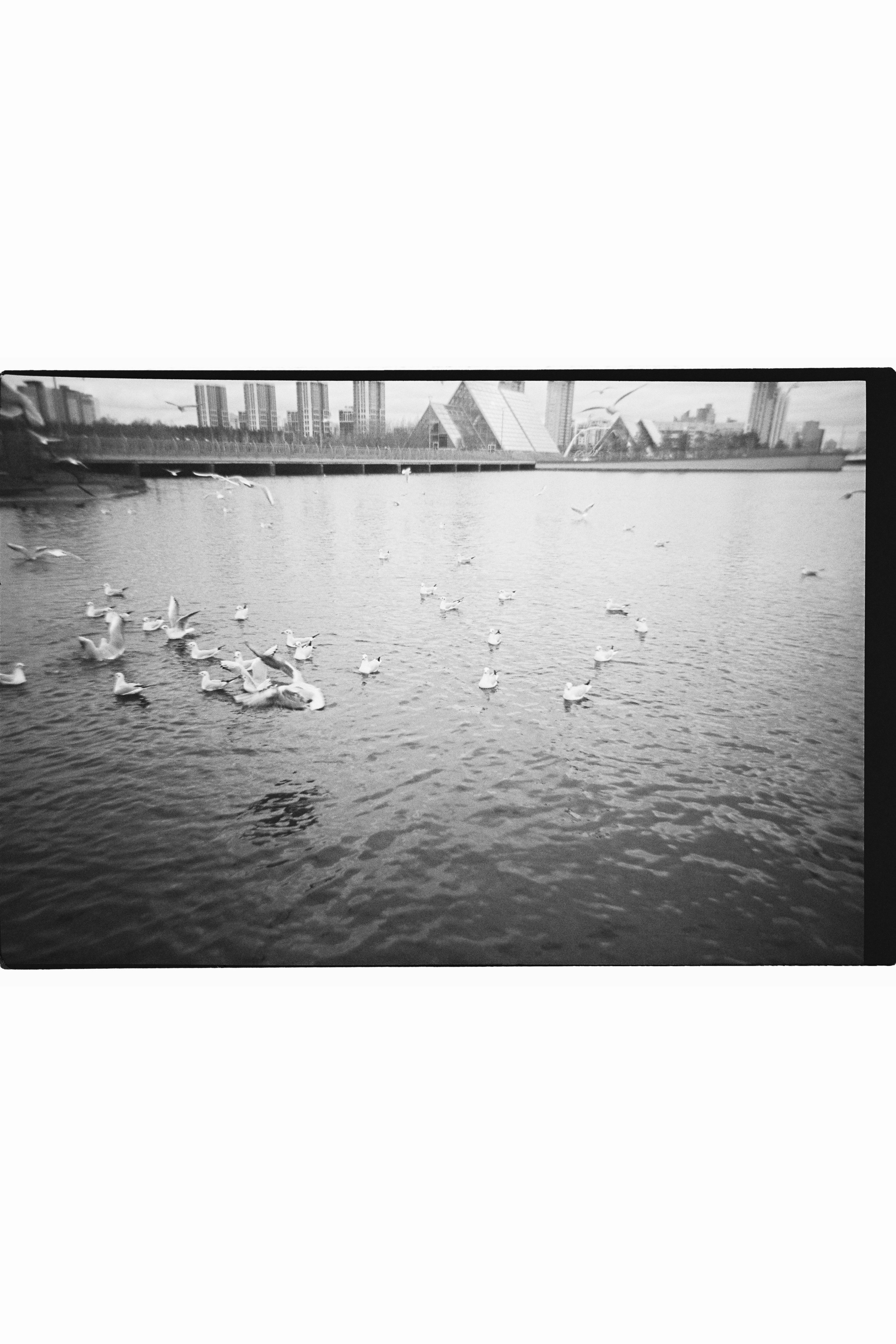 Work. Alina Kukleva photographer