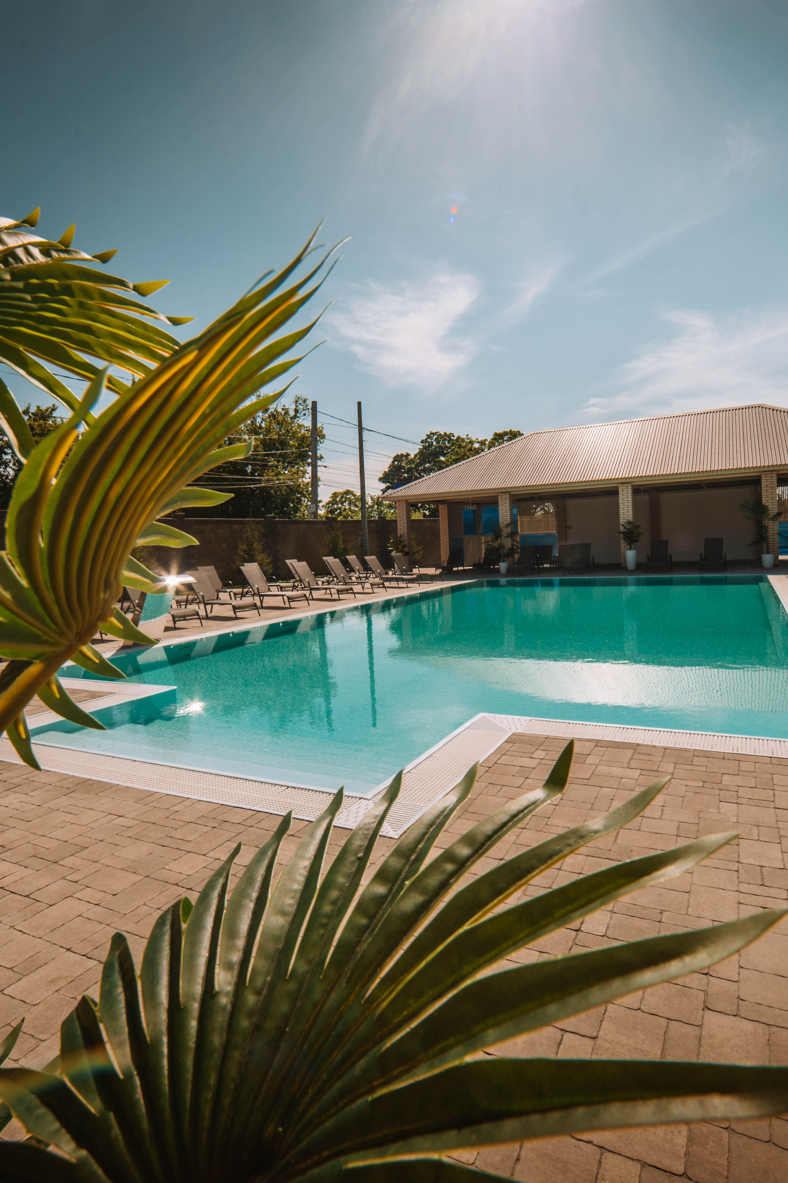 Визуал для клубного пространства «Своя среда»