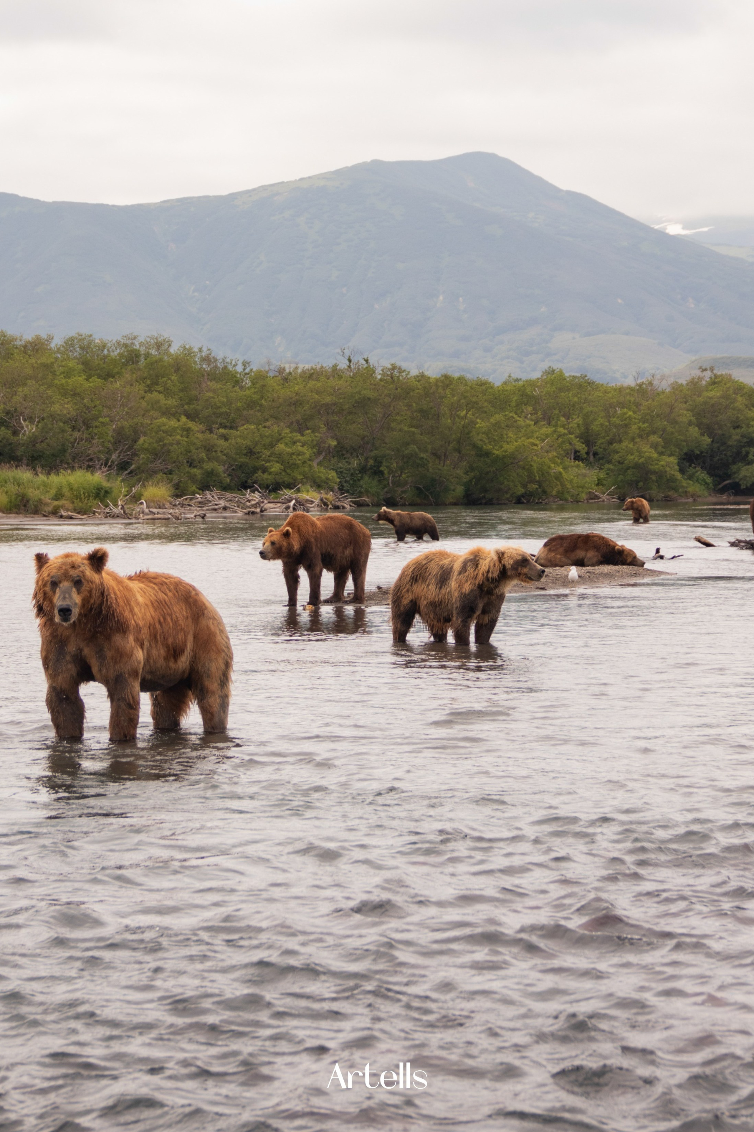 Журнал Artells. Kamchatka peninsula