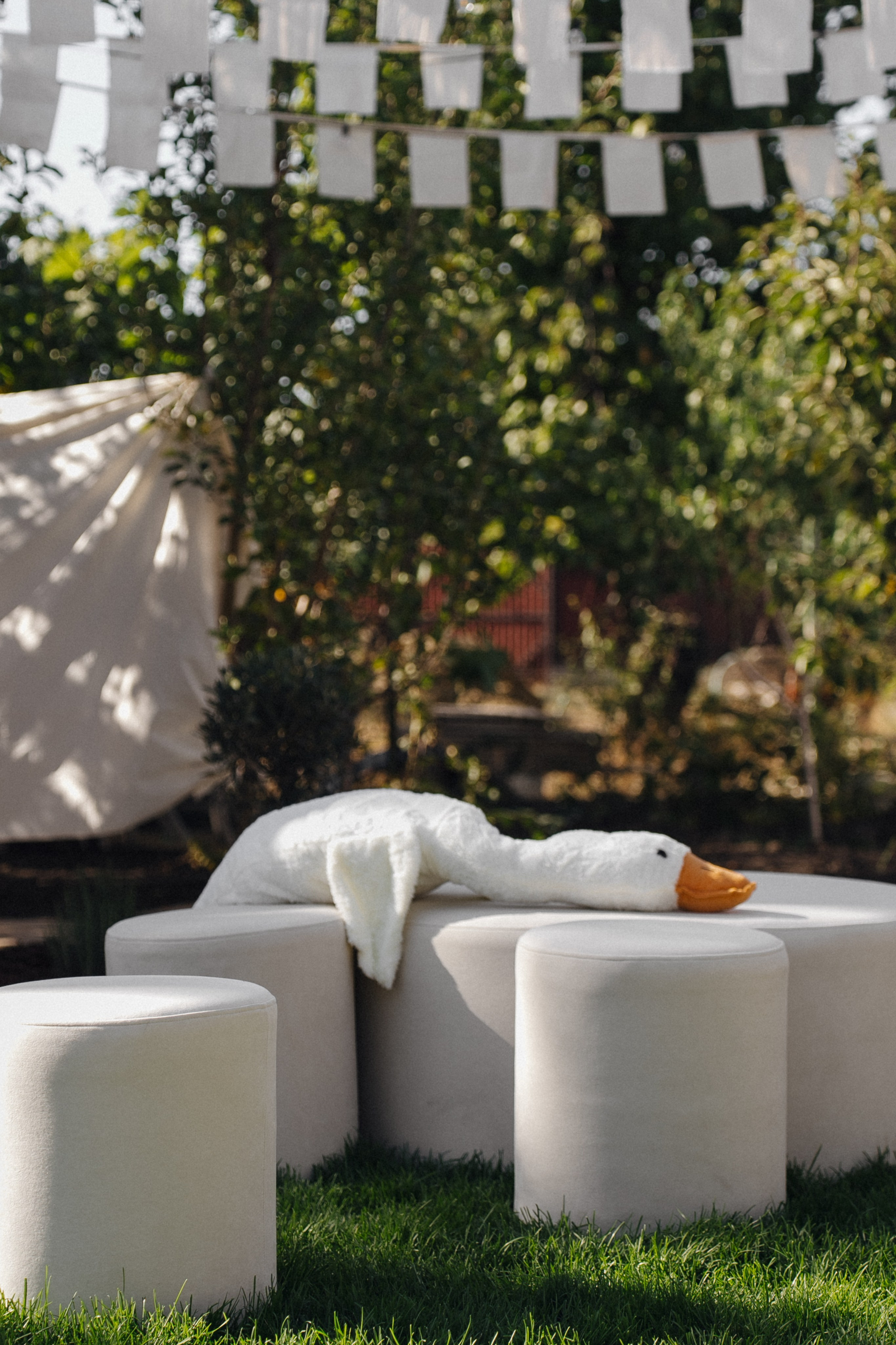 Гендер-пати