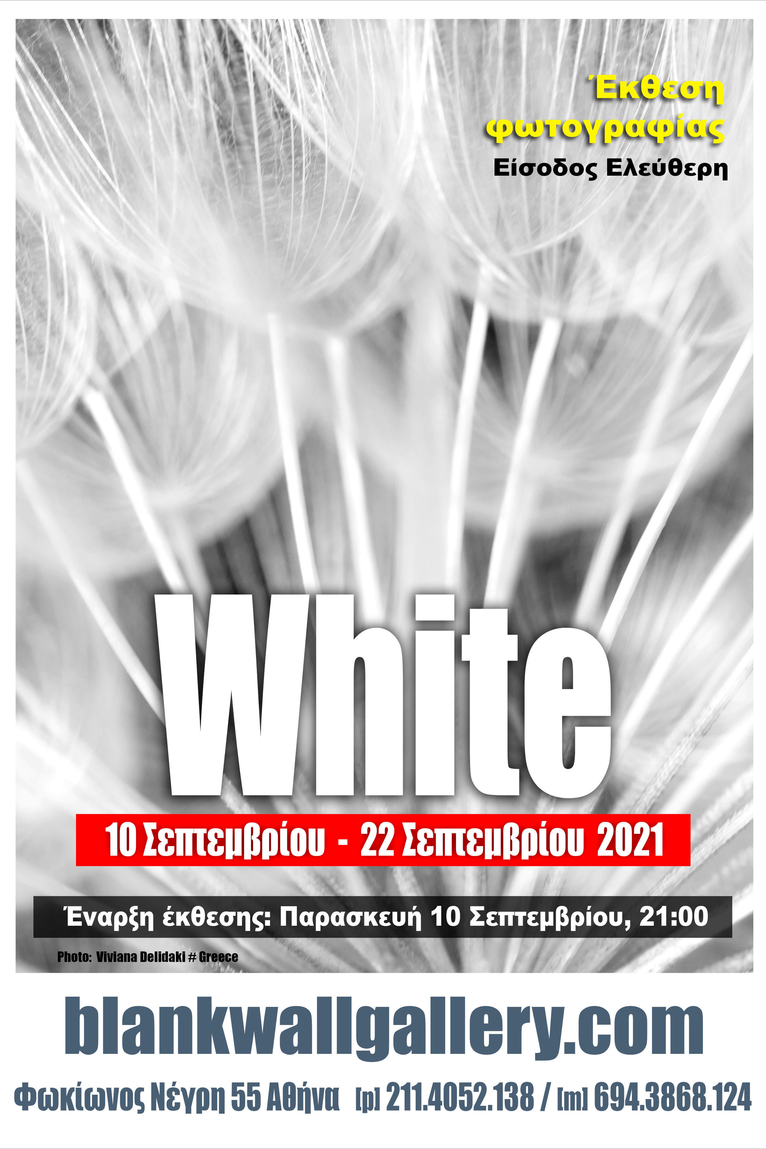 Выставка в Афинах