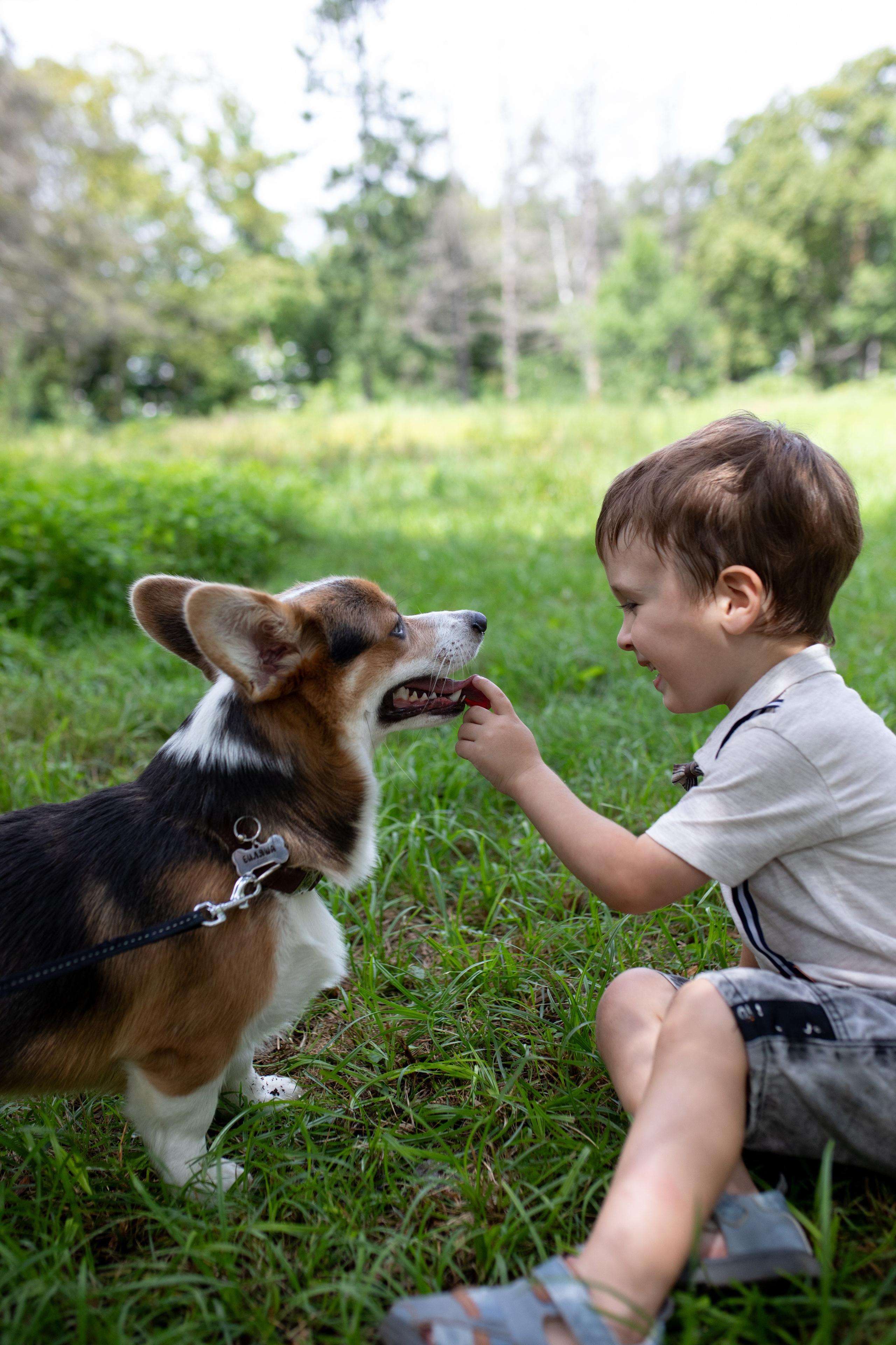 Семейные фото