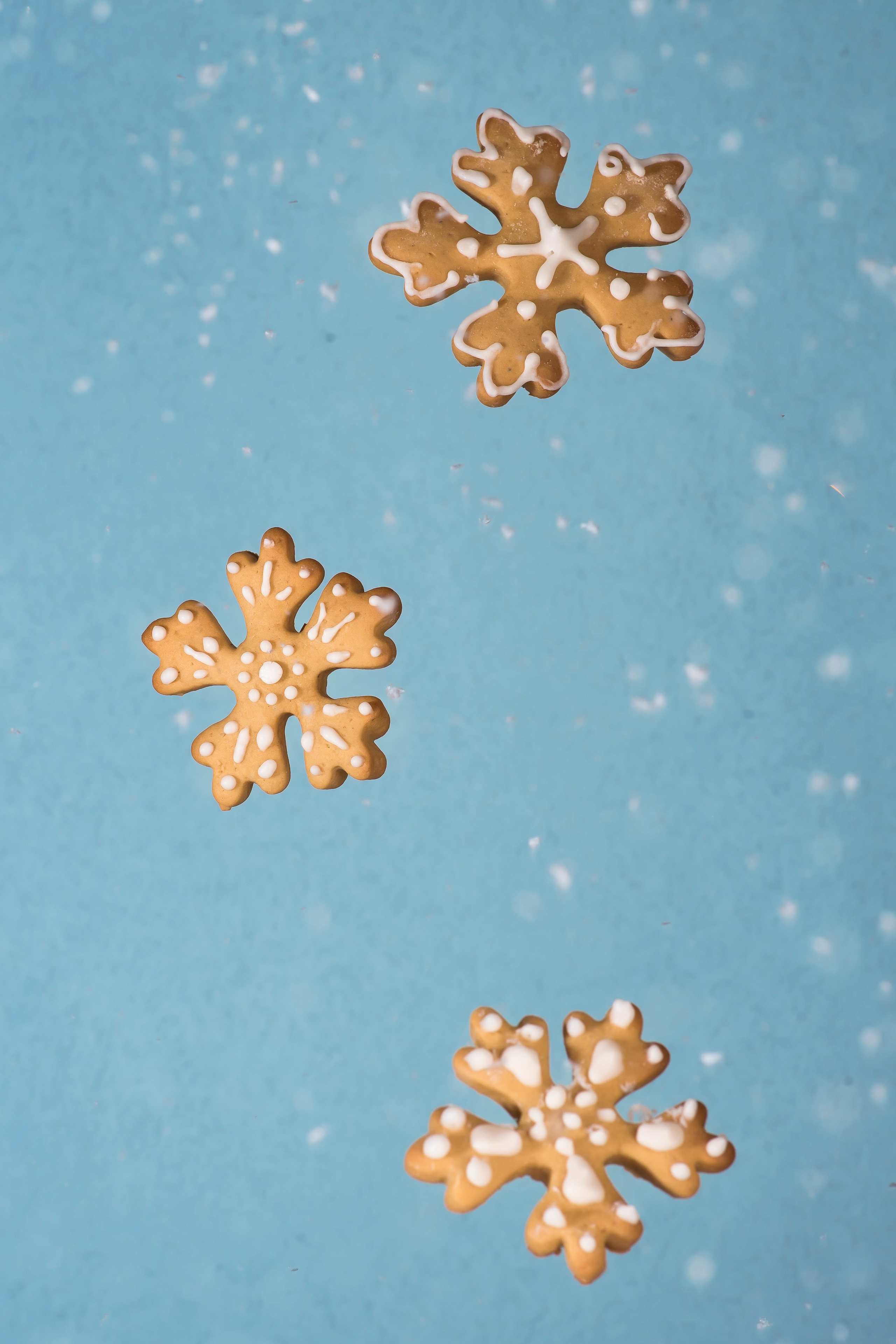 Новогоднее печенье. Александра Чекалина Предметный фотограф Барнаул