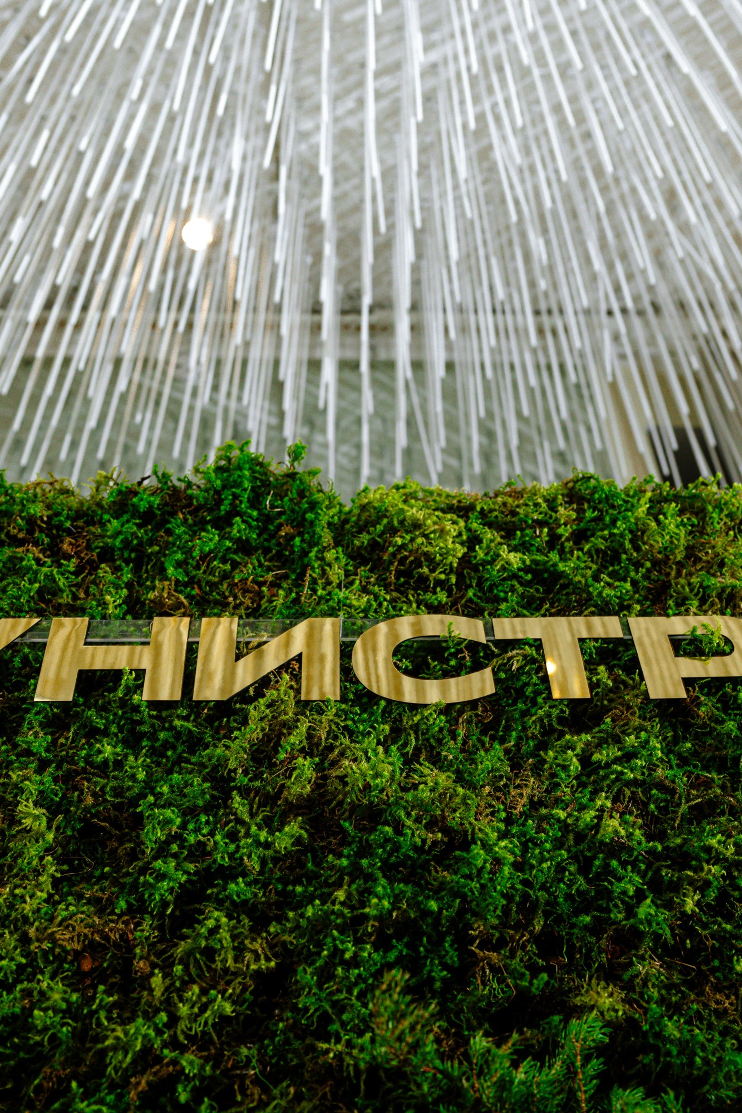 Отзывы. Максим Комаров — Профессиональный фотограф