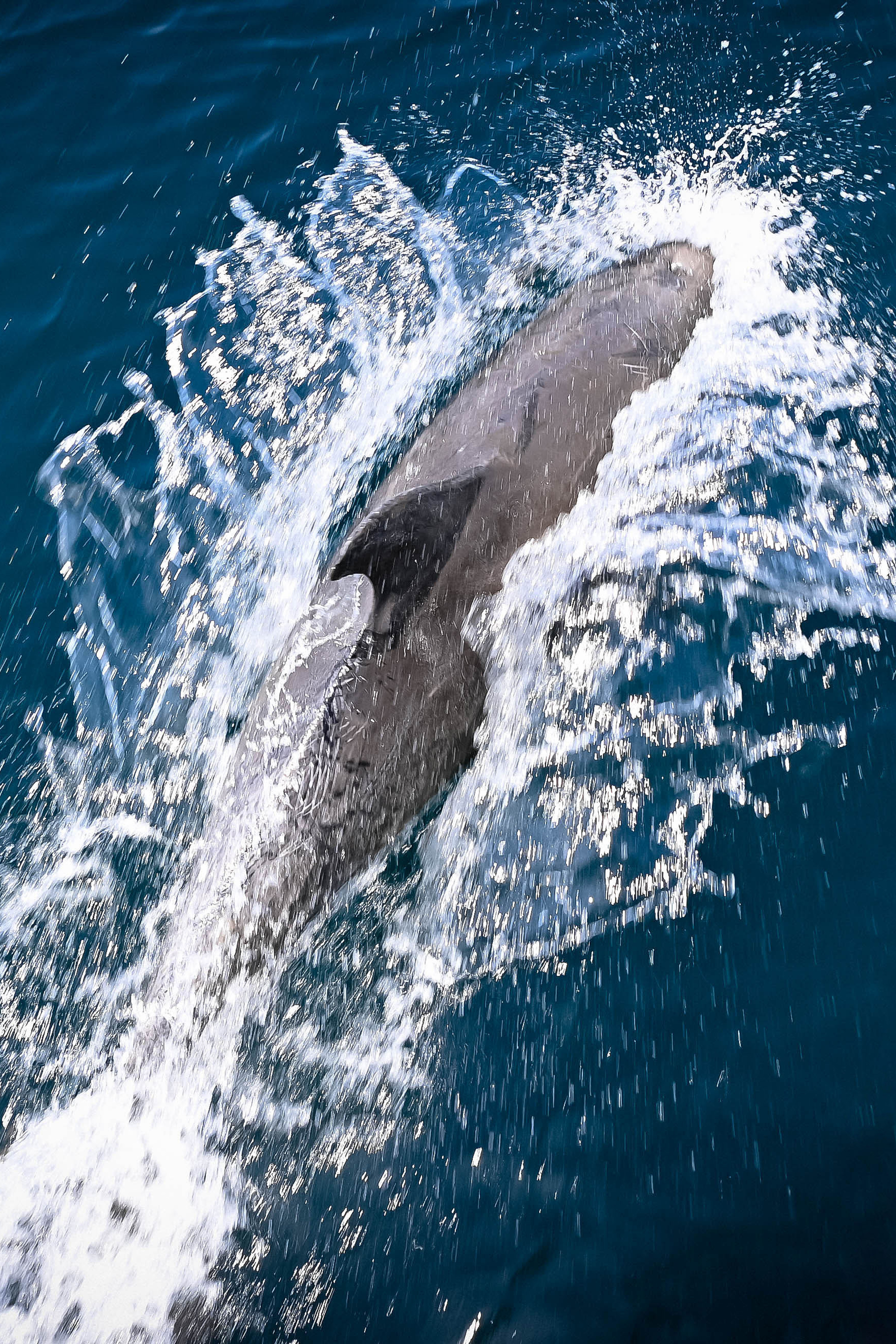 Истории. Фотограф и Видеограф в Севастополе и Крыму Рина Ри