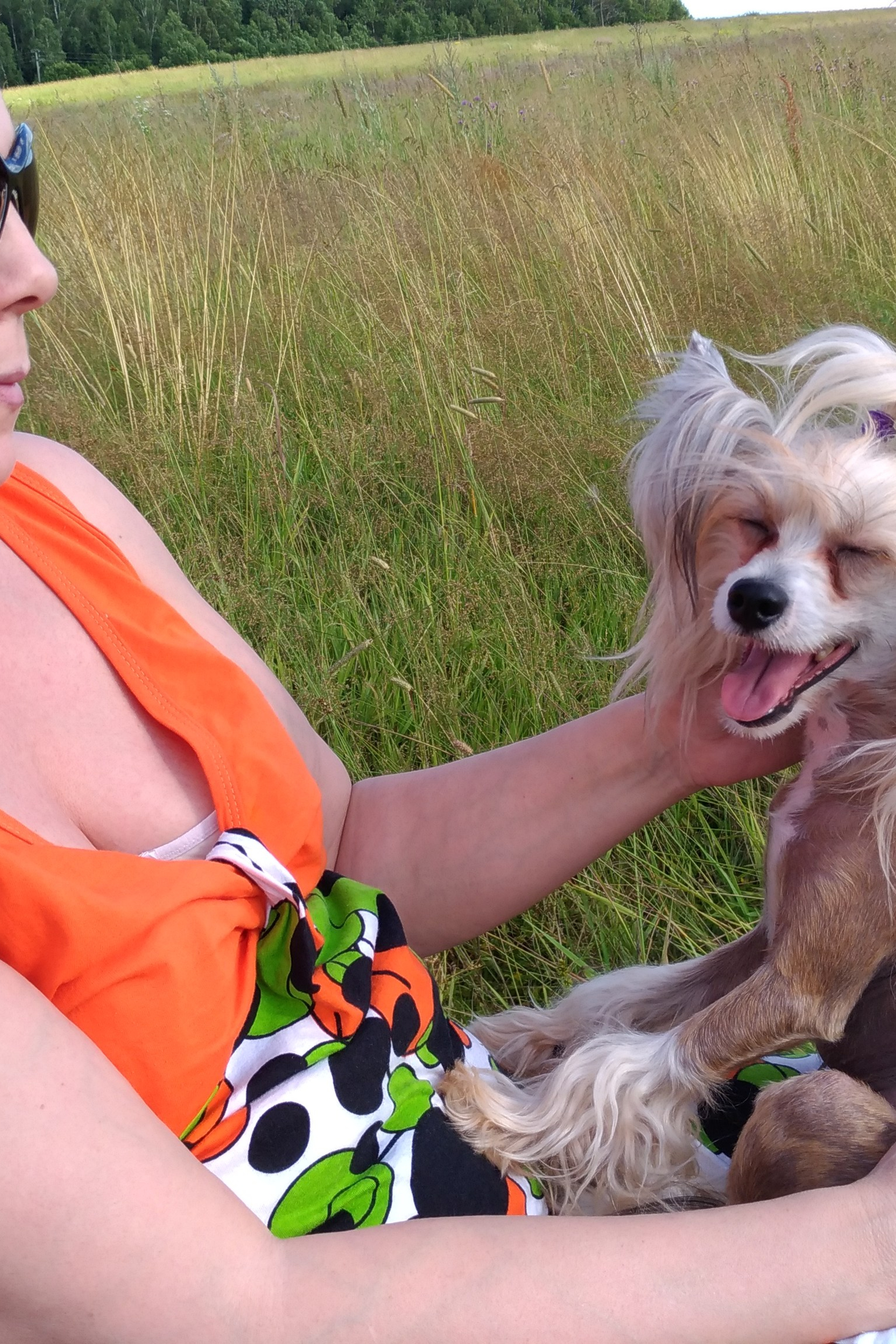 Hike to Konakovo. Poale Ell Chinese Crested Dog Kennel: Buy a puppy from the kennel