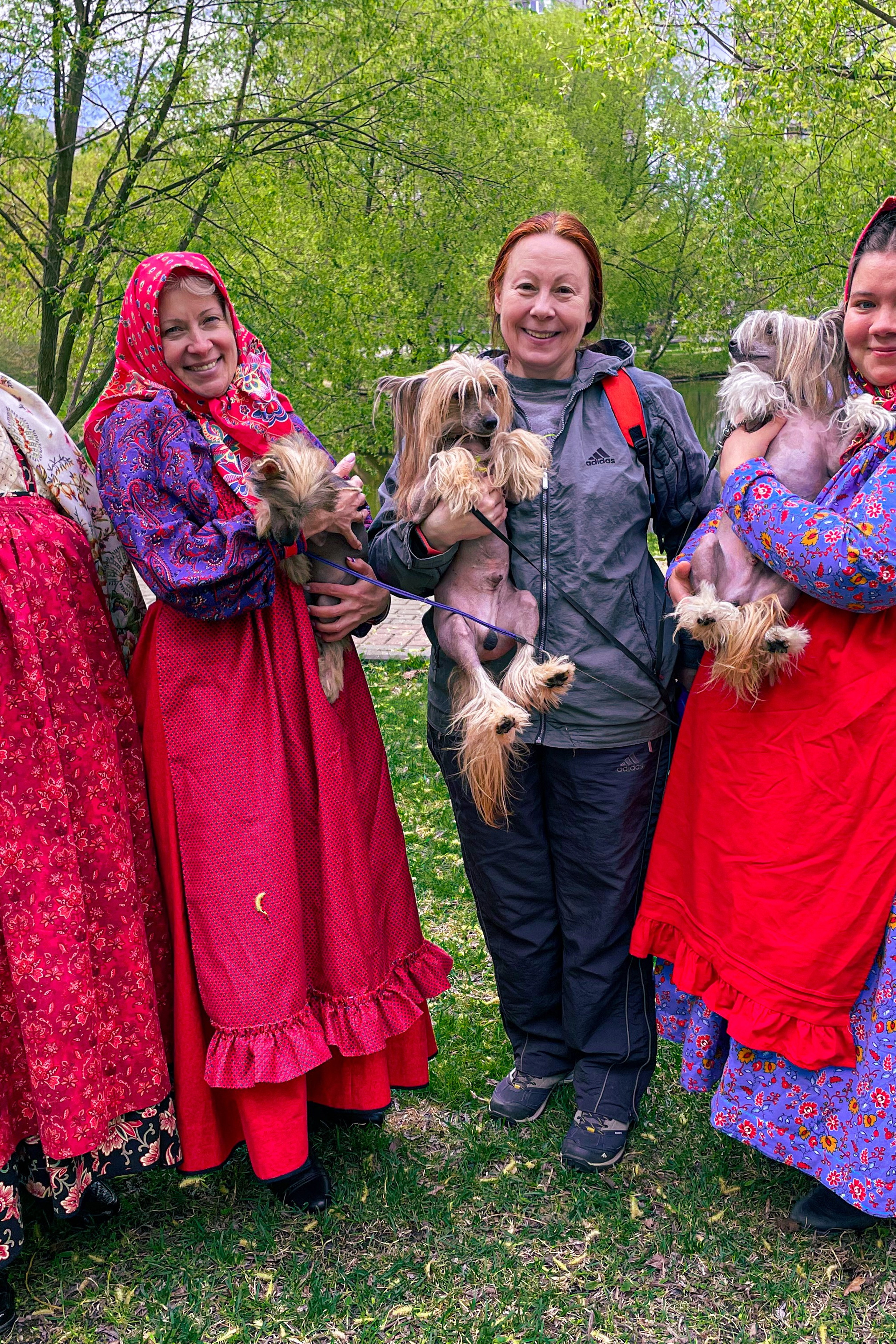 Moscow, Exhibition of the ROO KK “Planet of Dogs”. Exhibition Center “Sfera”. Poale Ell Chinese Crested Dog Kennel: Buy a puppy from the kennel
