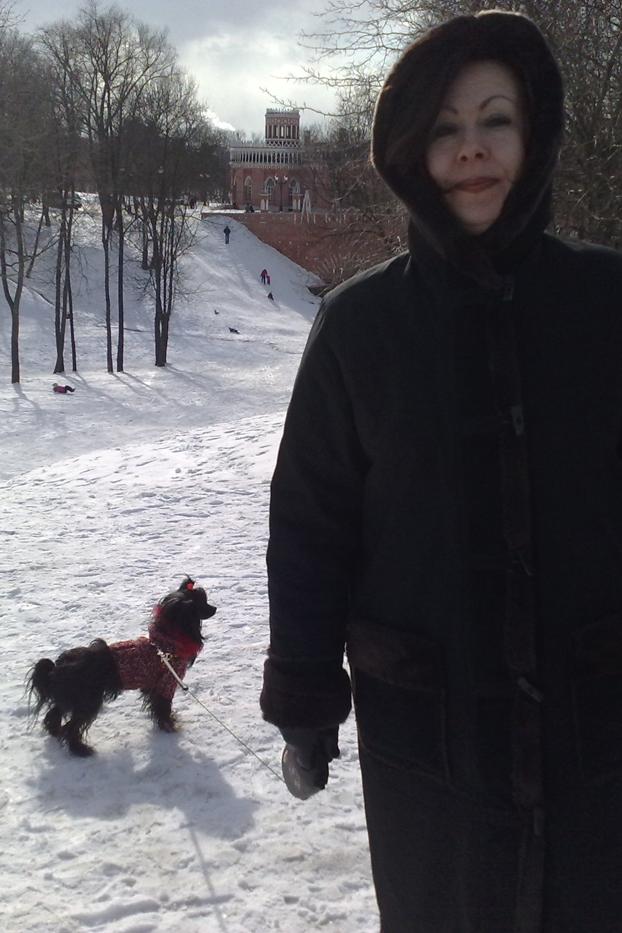 Hike to Konakovo. Poale Ell Chinese Crested Dog Kennel: Buy a puppy from the kennel