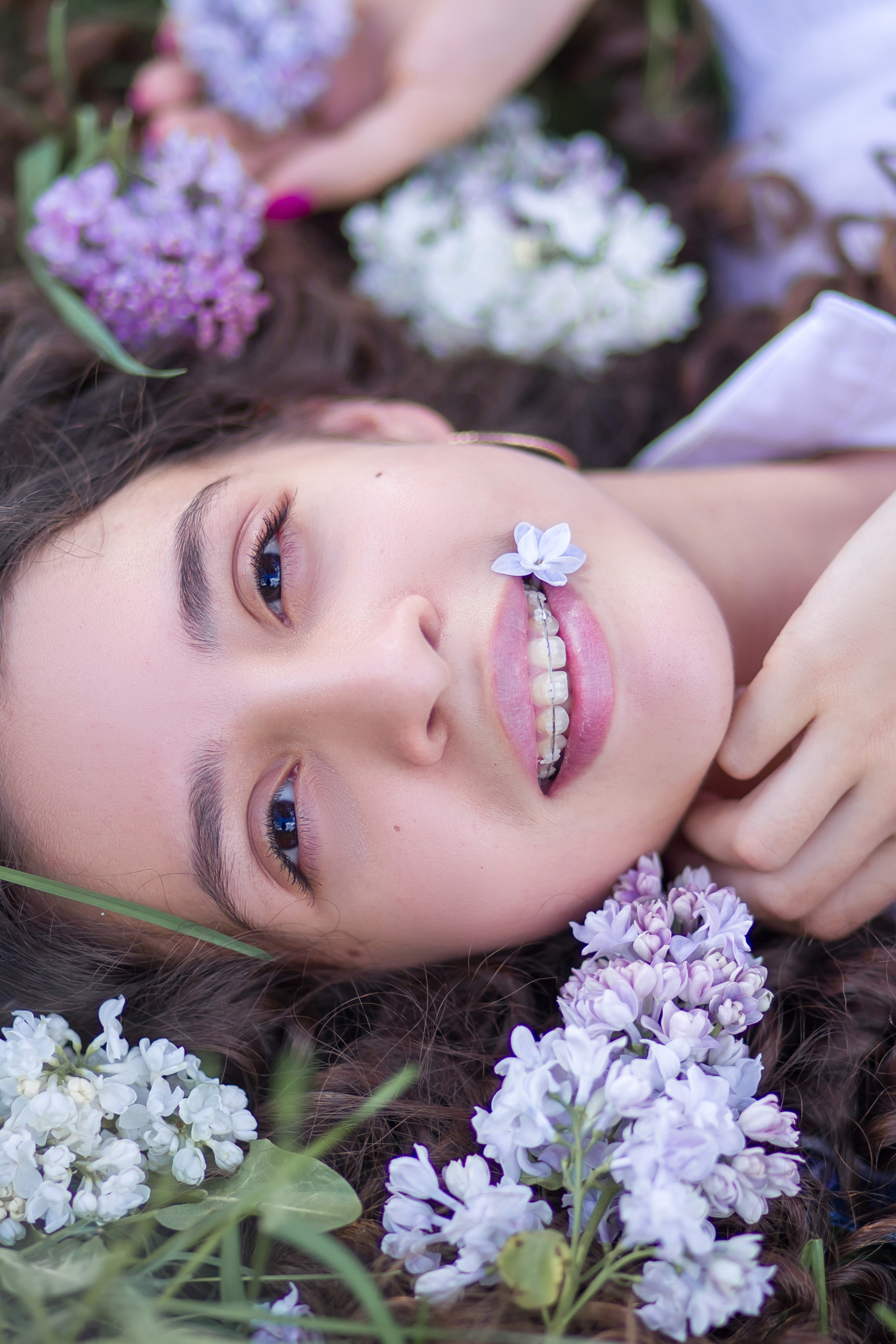 Сиреневый сад