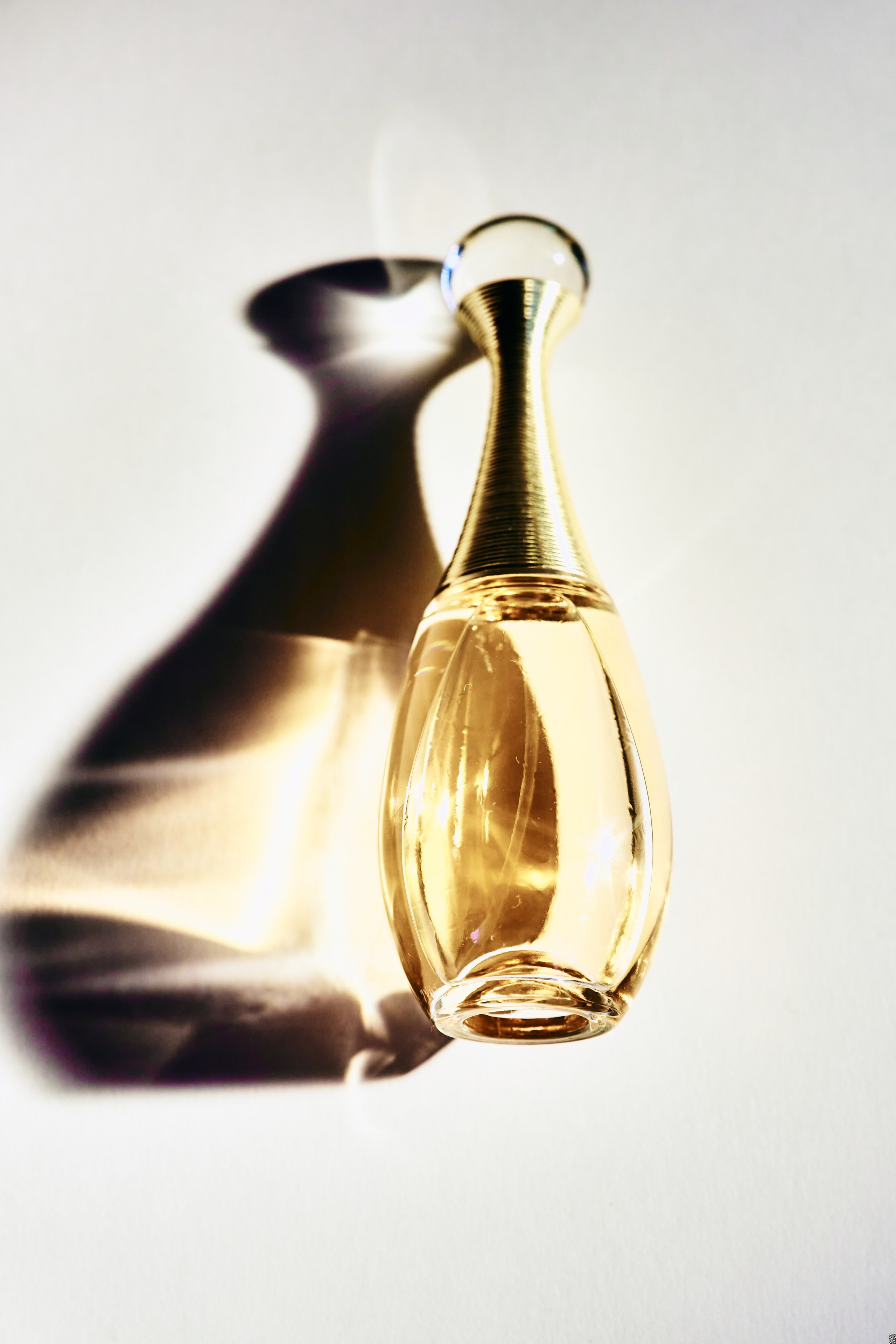 Портфолио бренды. Фотограф Воронеж — стильные фотосессии беременности, портрет, мода