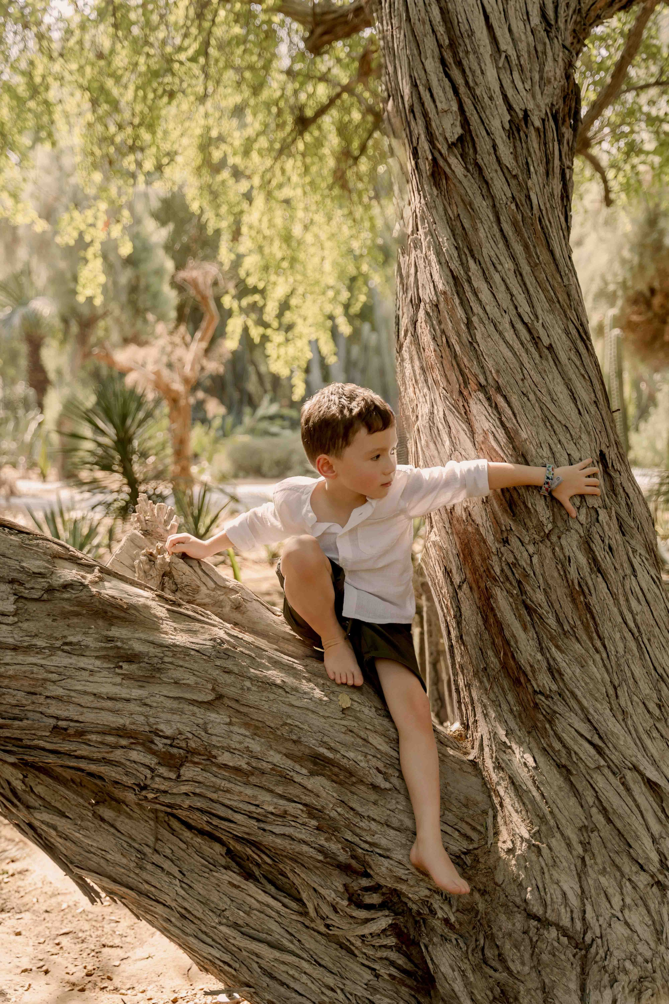 Семейная фотосессия в&nbsp;парке в&nbsp;коричневых тонах