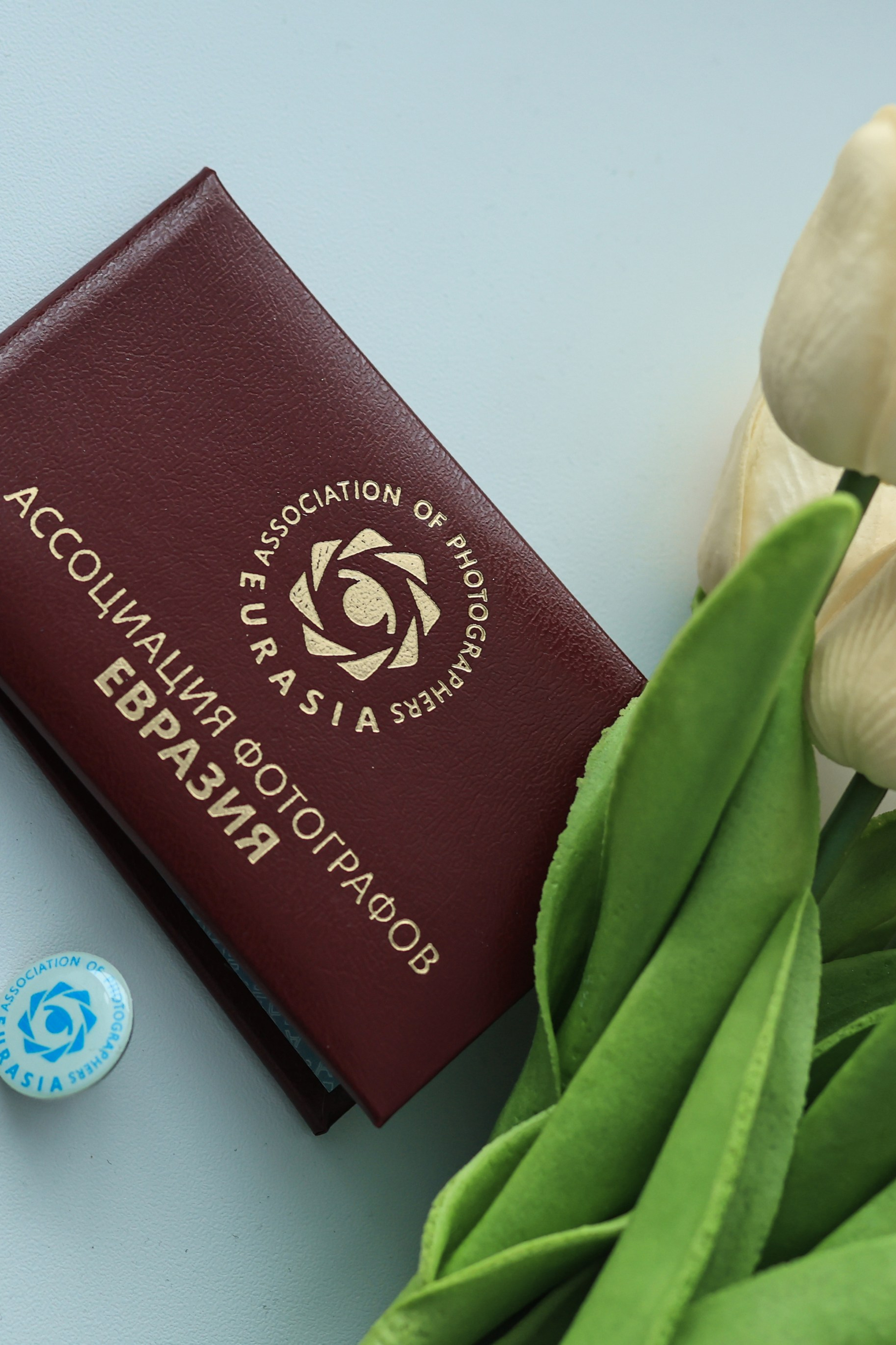 Член Ассоциации фотографов ЕВРАЗИЯ