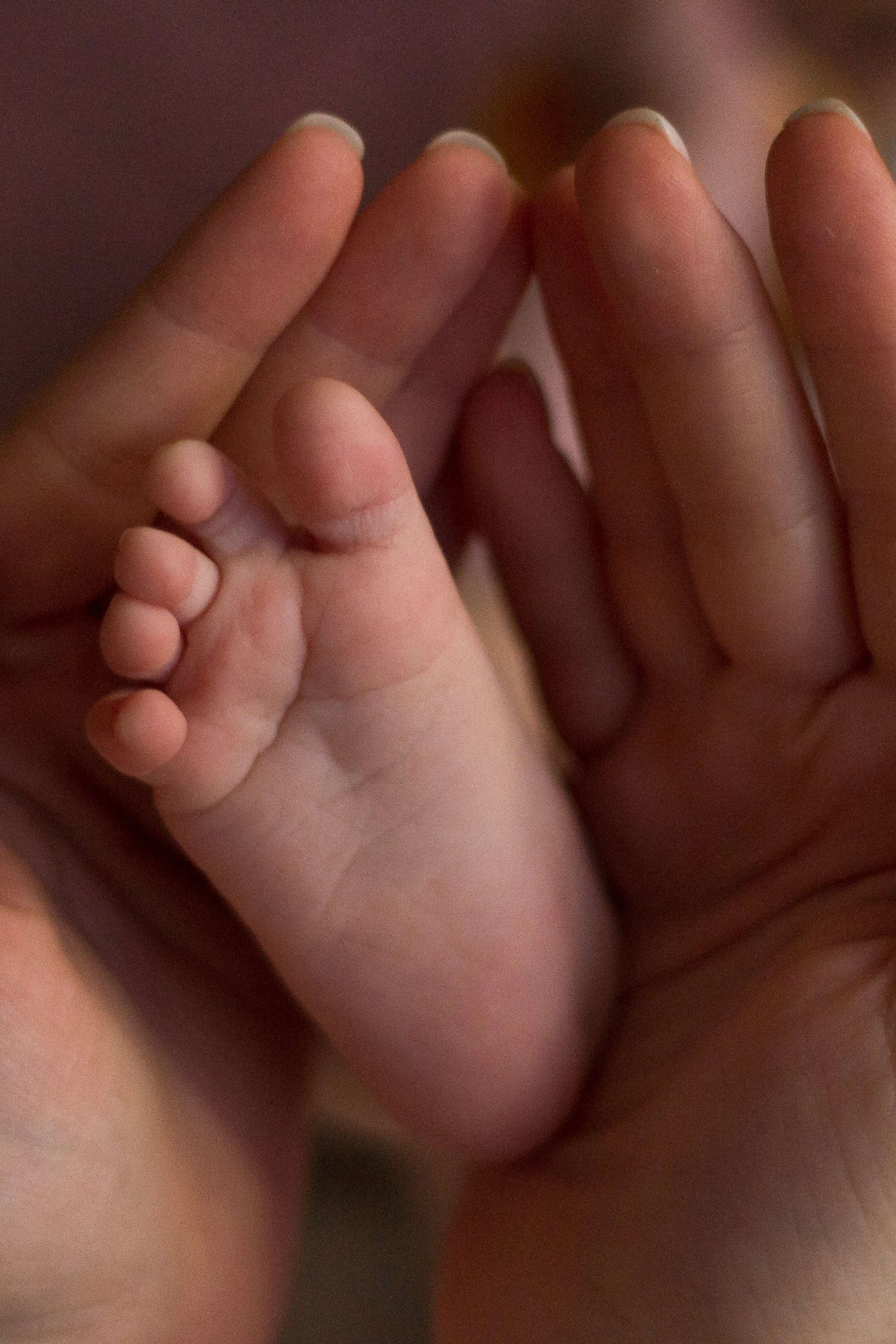 Ксения и Екатерина