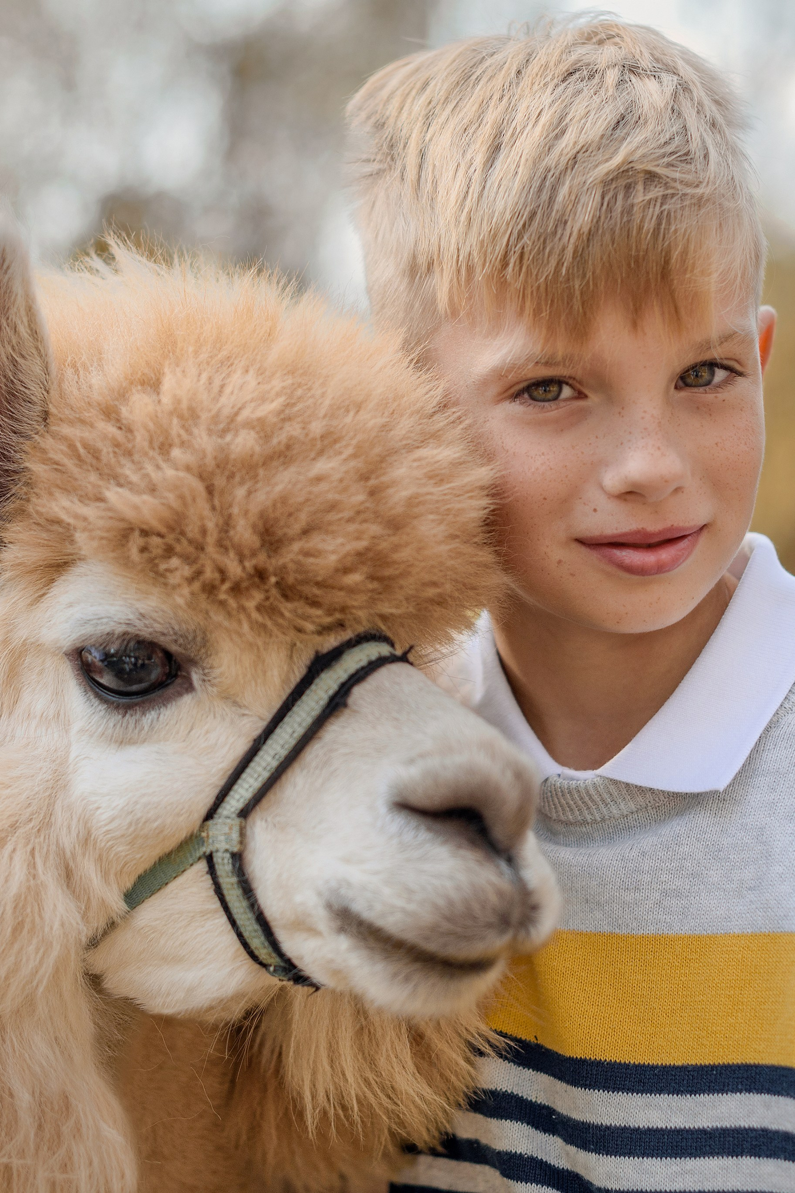 Платон и Мирон