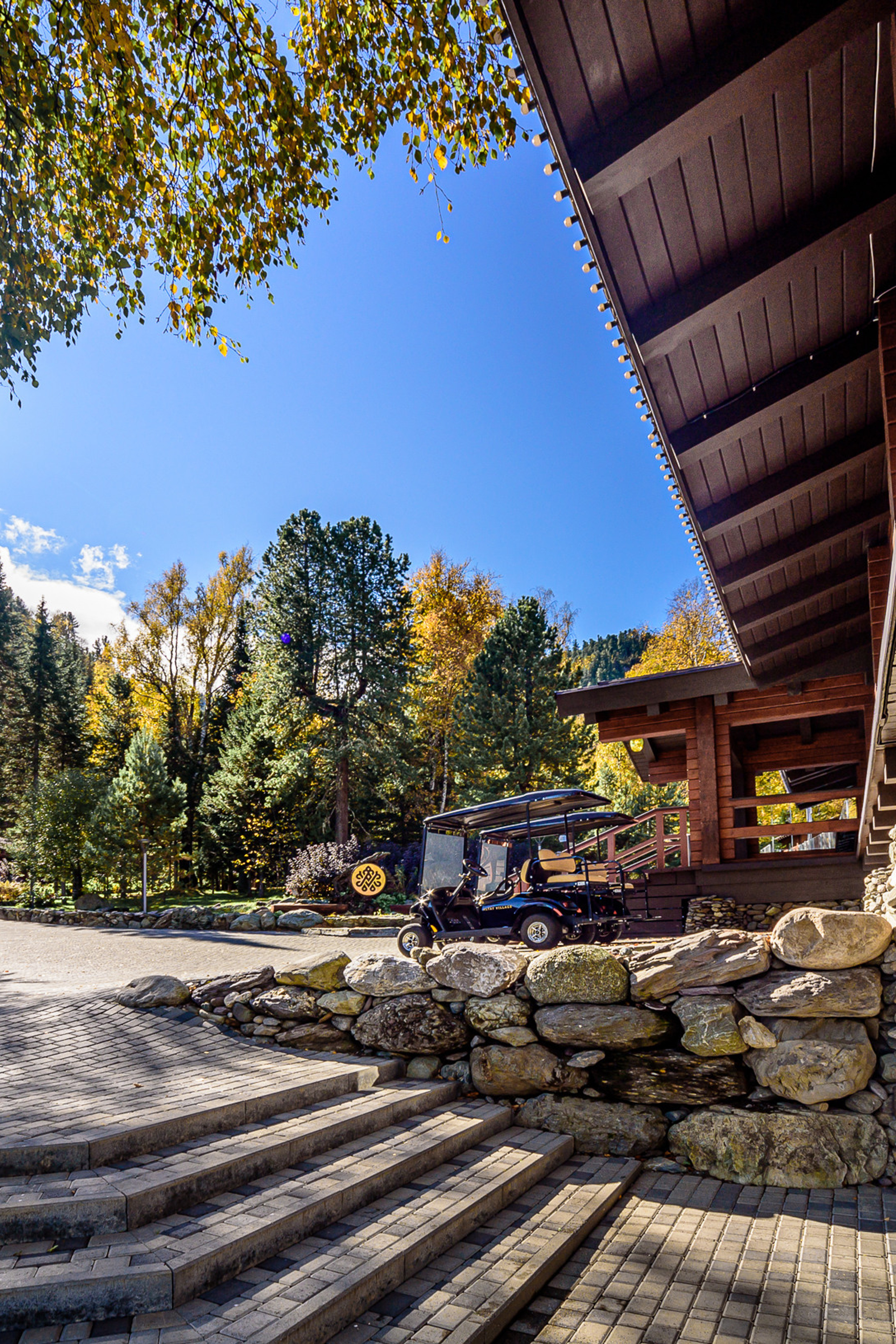 Общее портфолио