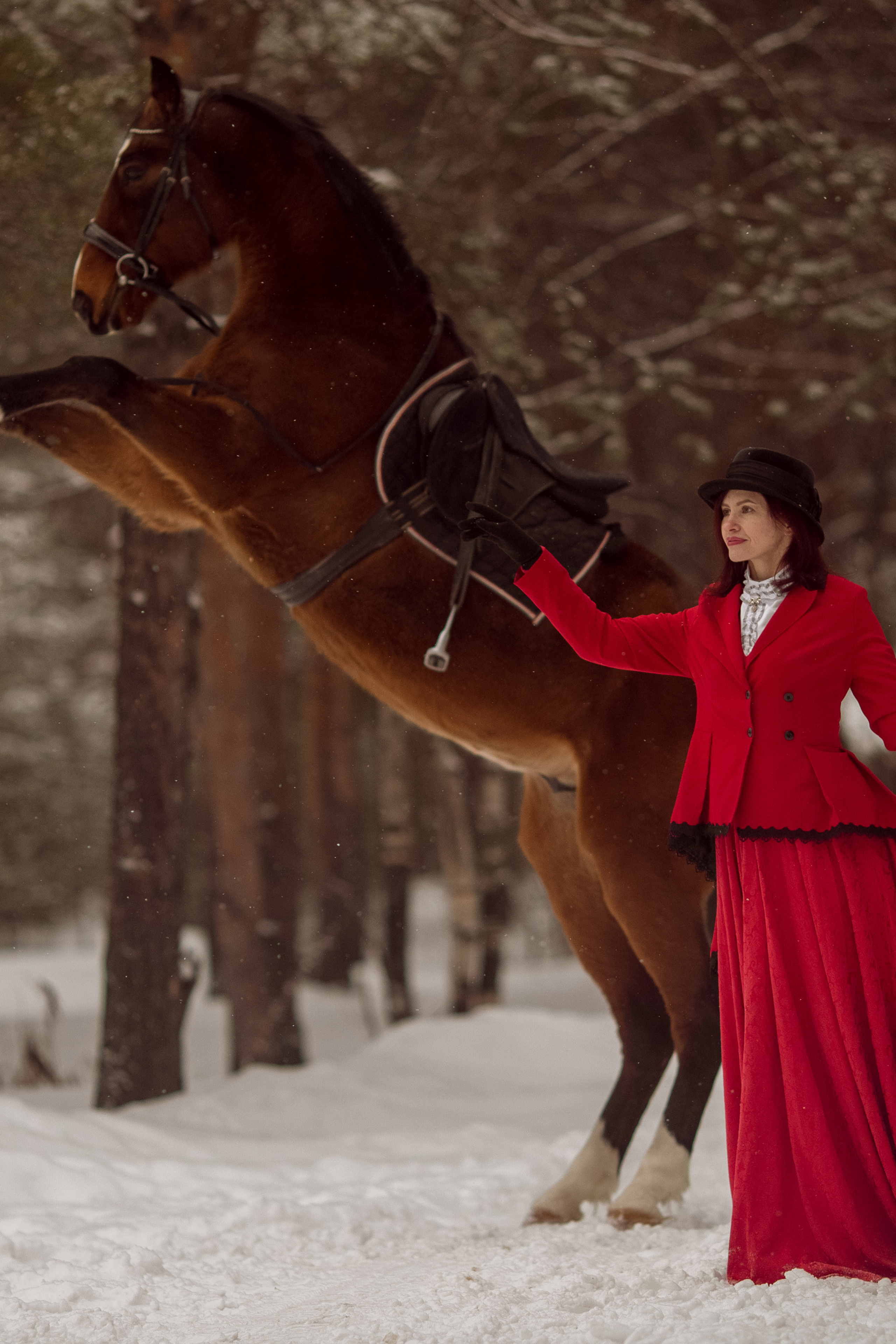 Отзывы о фотосессии с лошадью