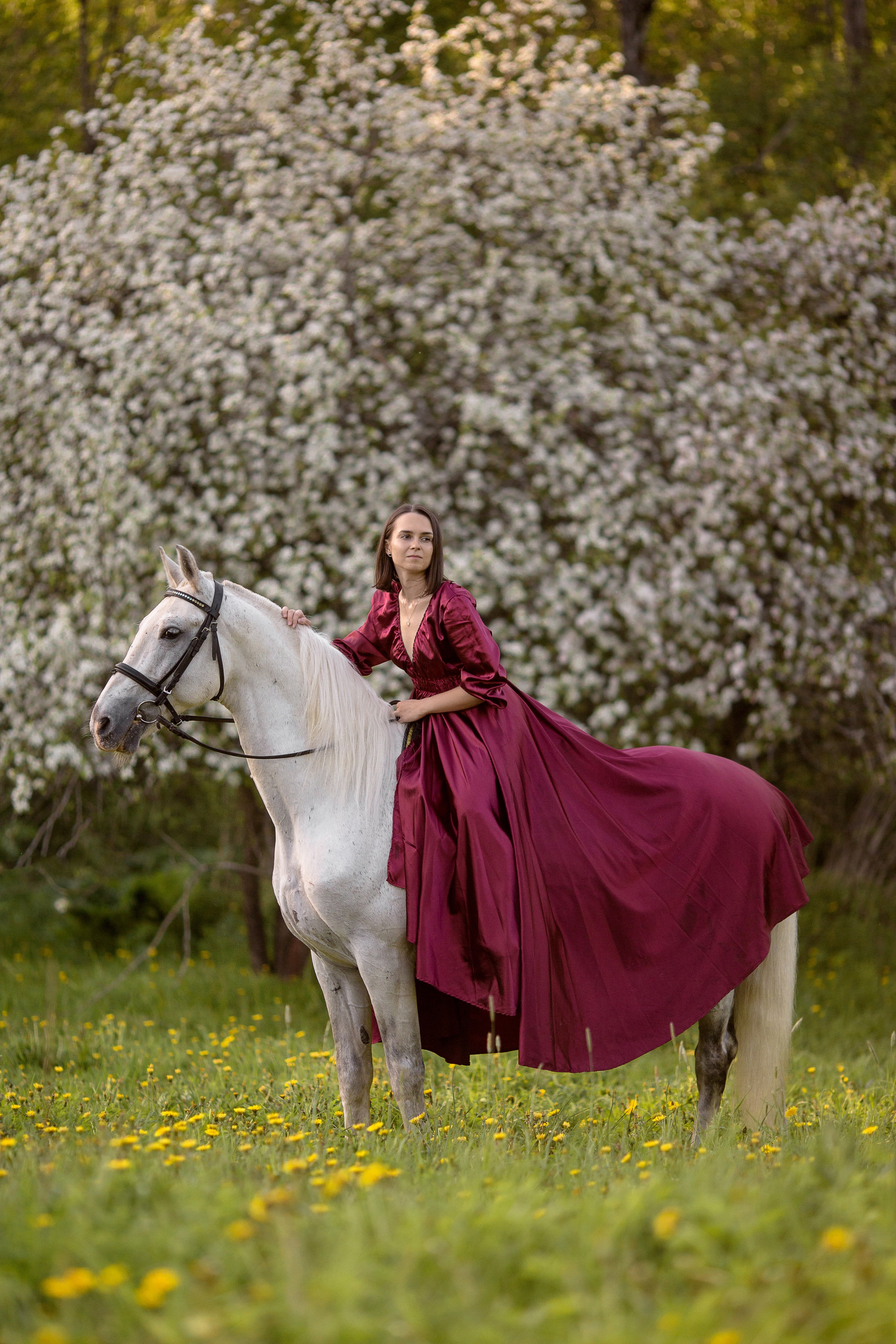 Отзывы о фотосессии с лошадью