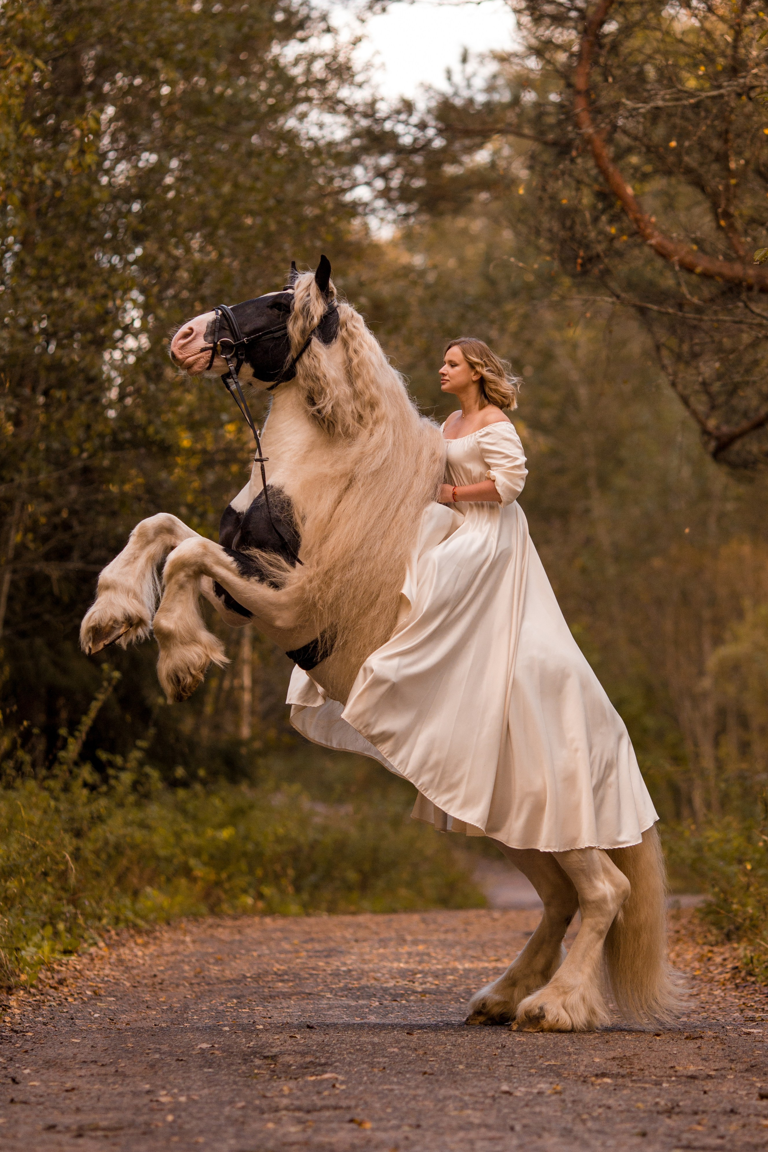 Отзывы о фотосессии с лошадью