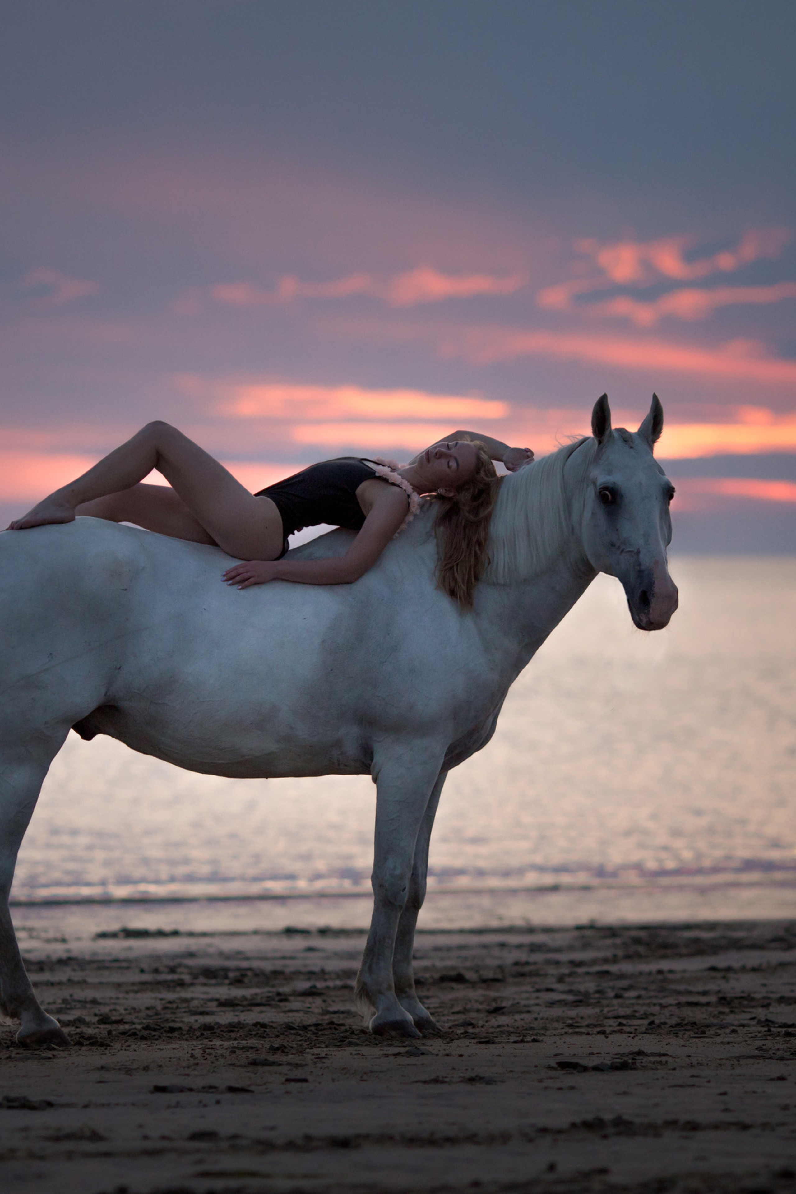 Отзывы о фотосессии с лошадью