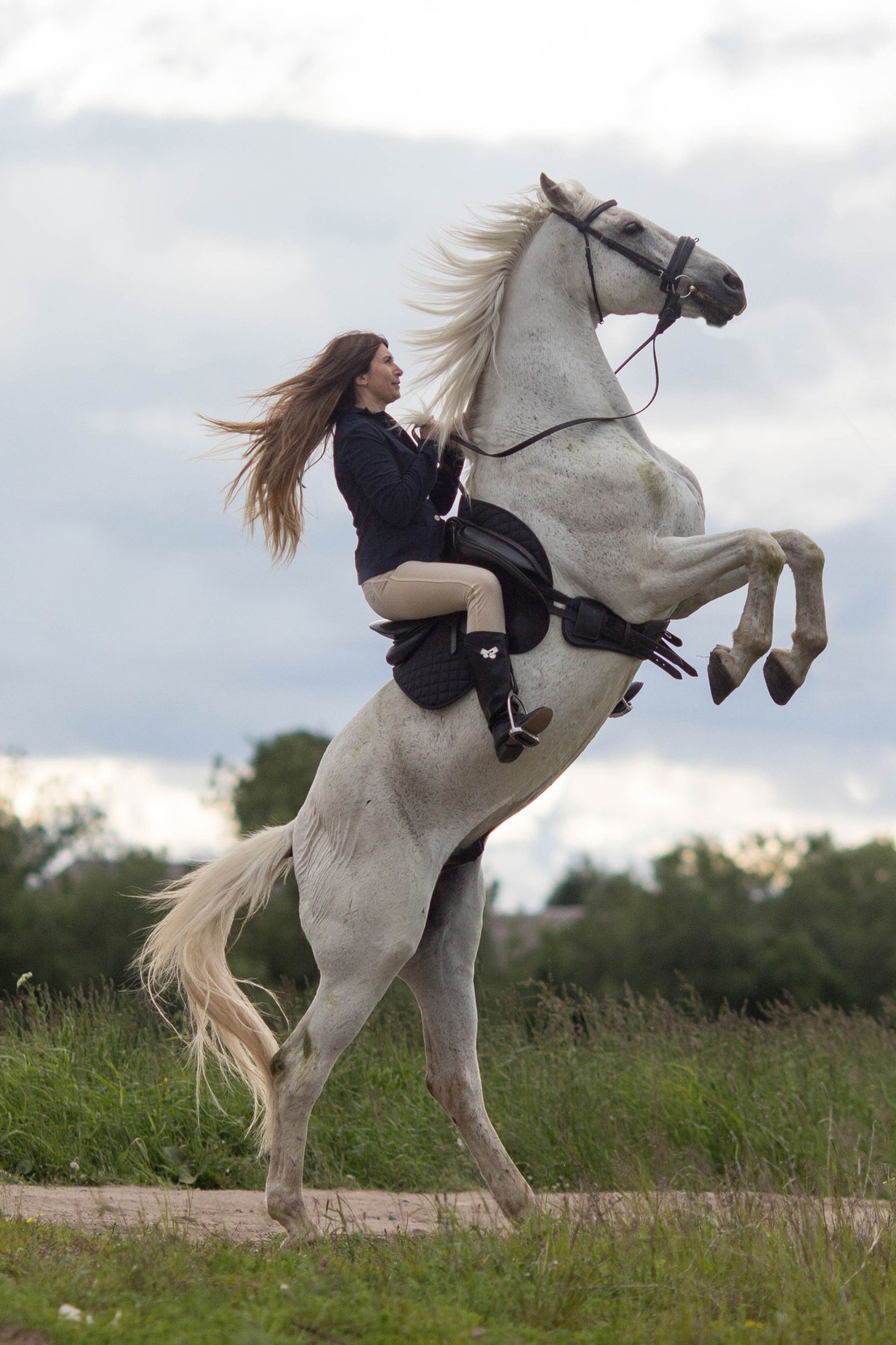 Отзывы о фотосессии с лошадью