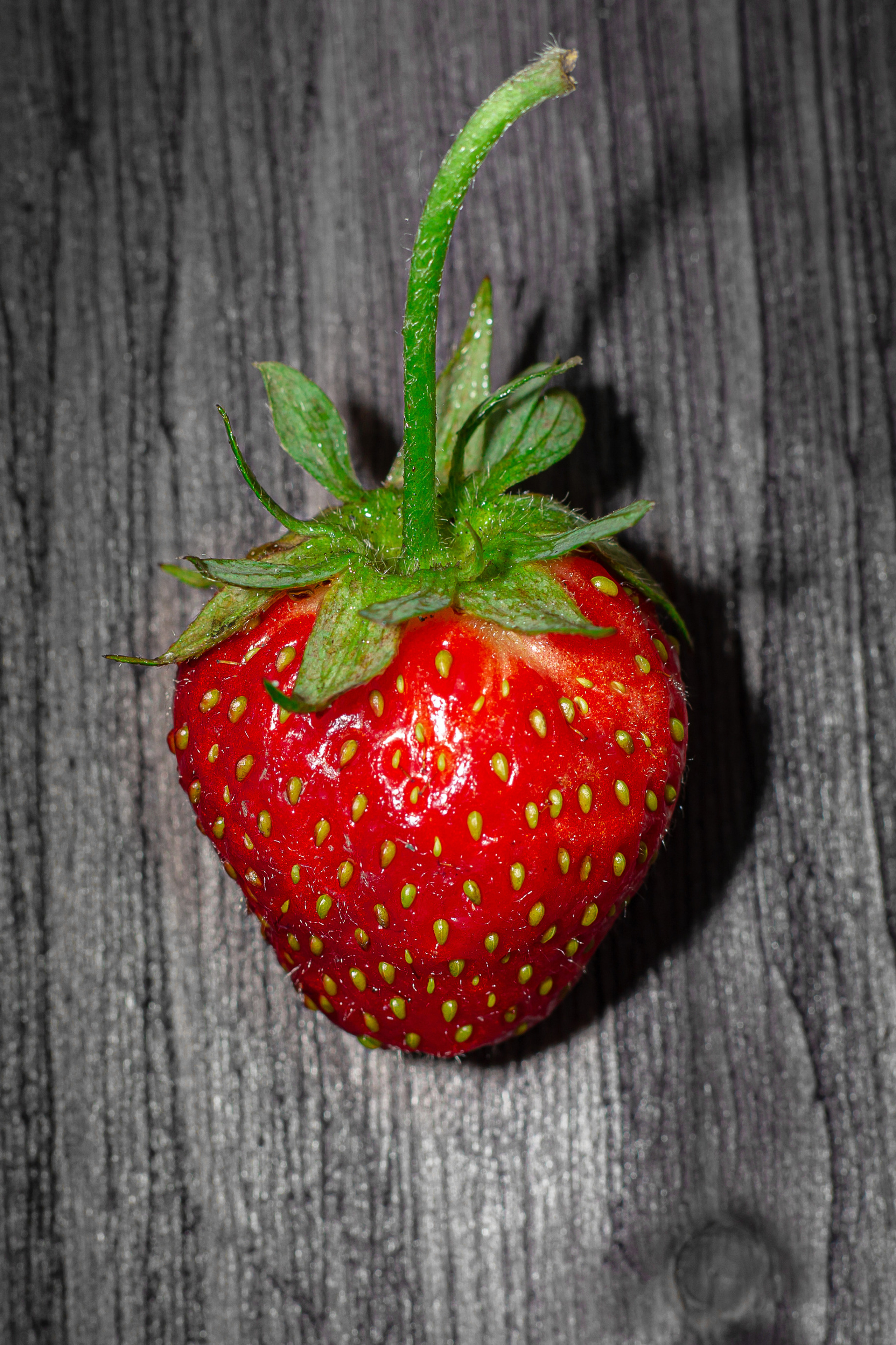 Анонсы. Коммерческий фотограф, ретушёр Анастасия Пачина