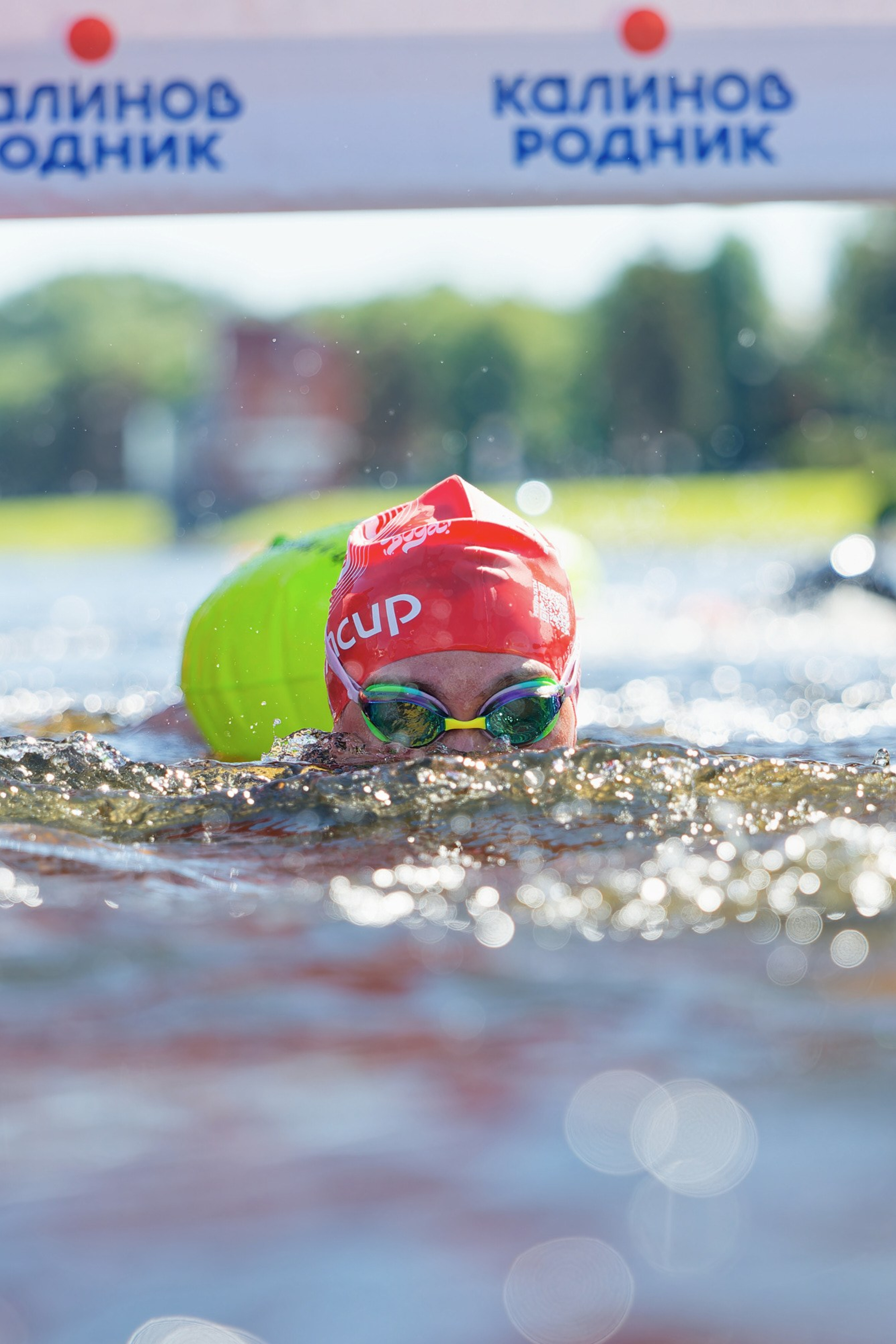 Swimcup Санкт-Петербург 2026