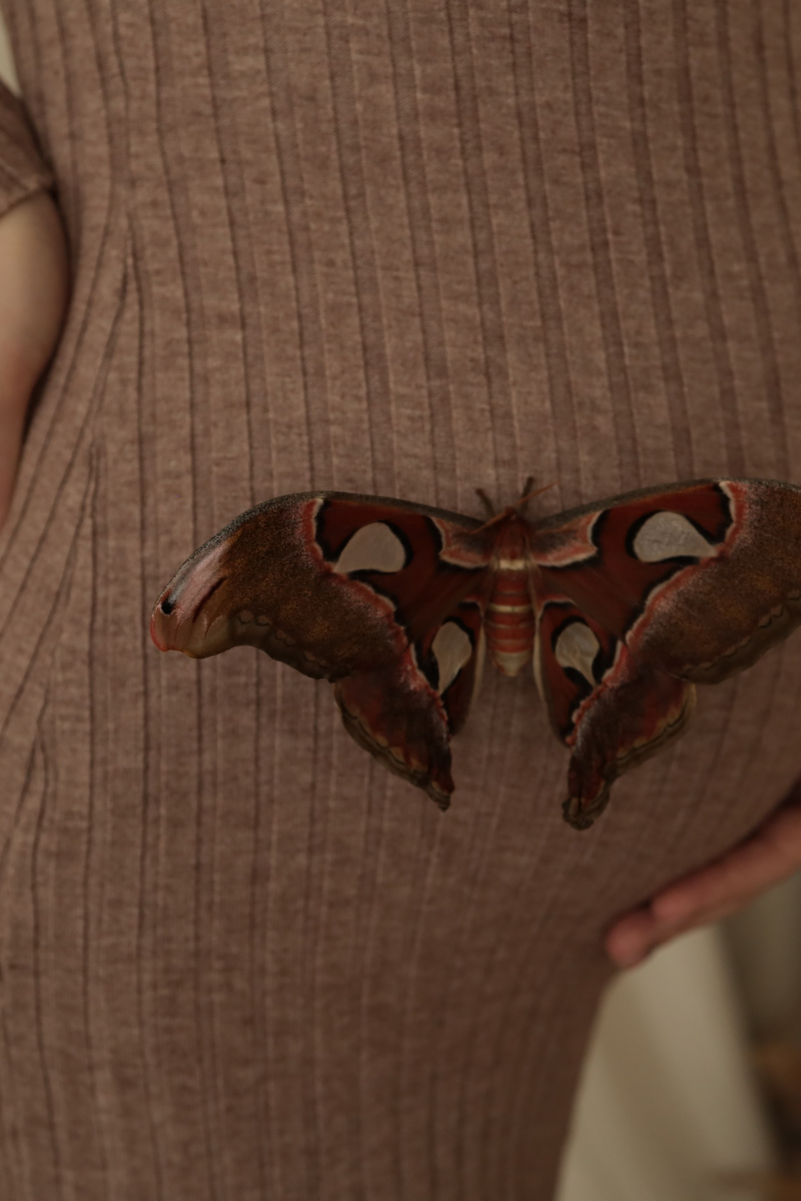 Блог. Фотограф новорожденных в Ижевске Анастасия Преснякова