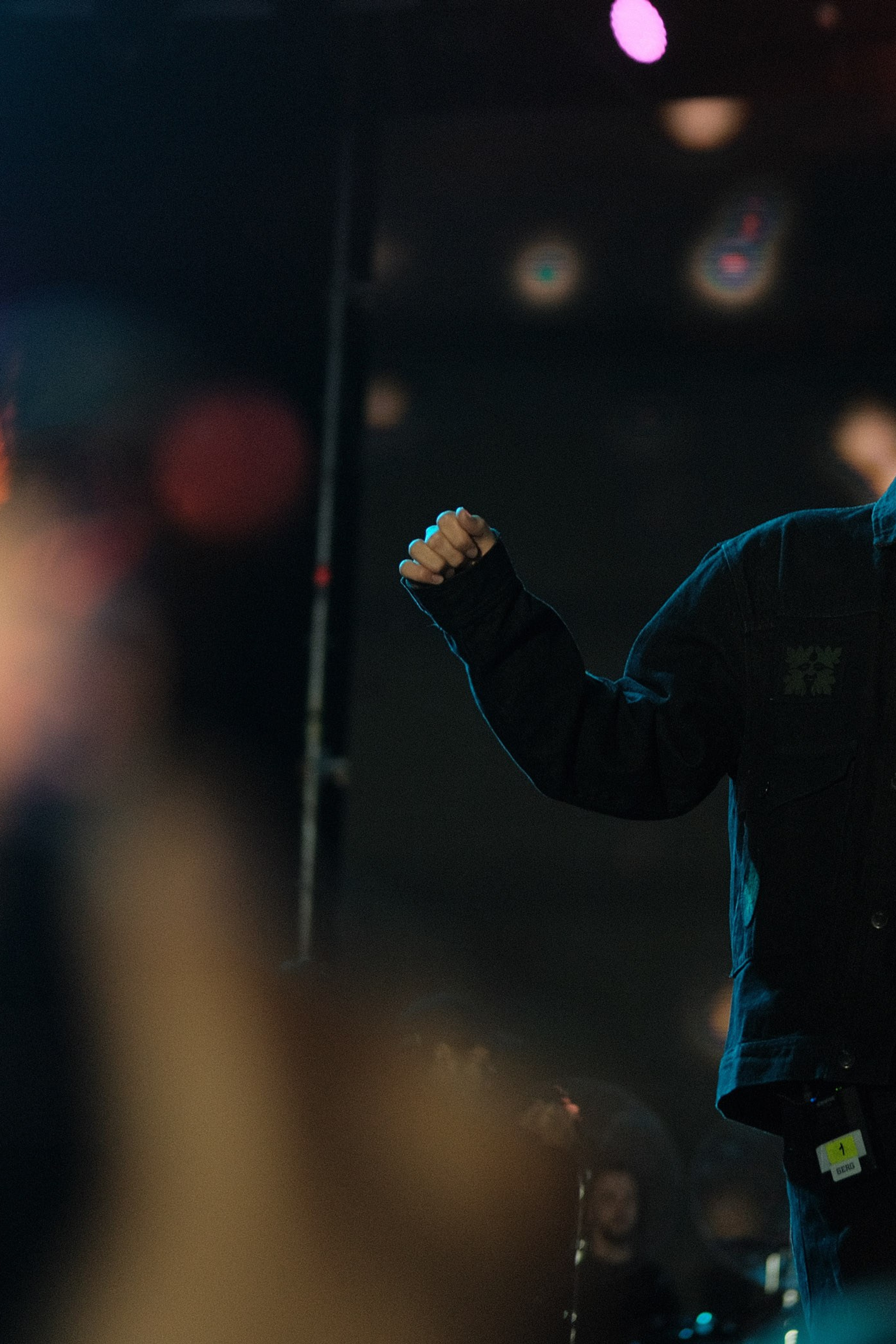 Летний фестиваль «Picnic». Профессиональный фотограф