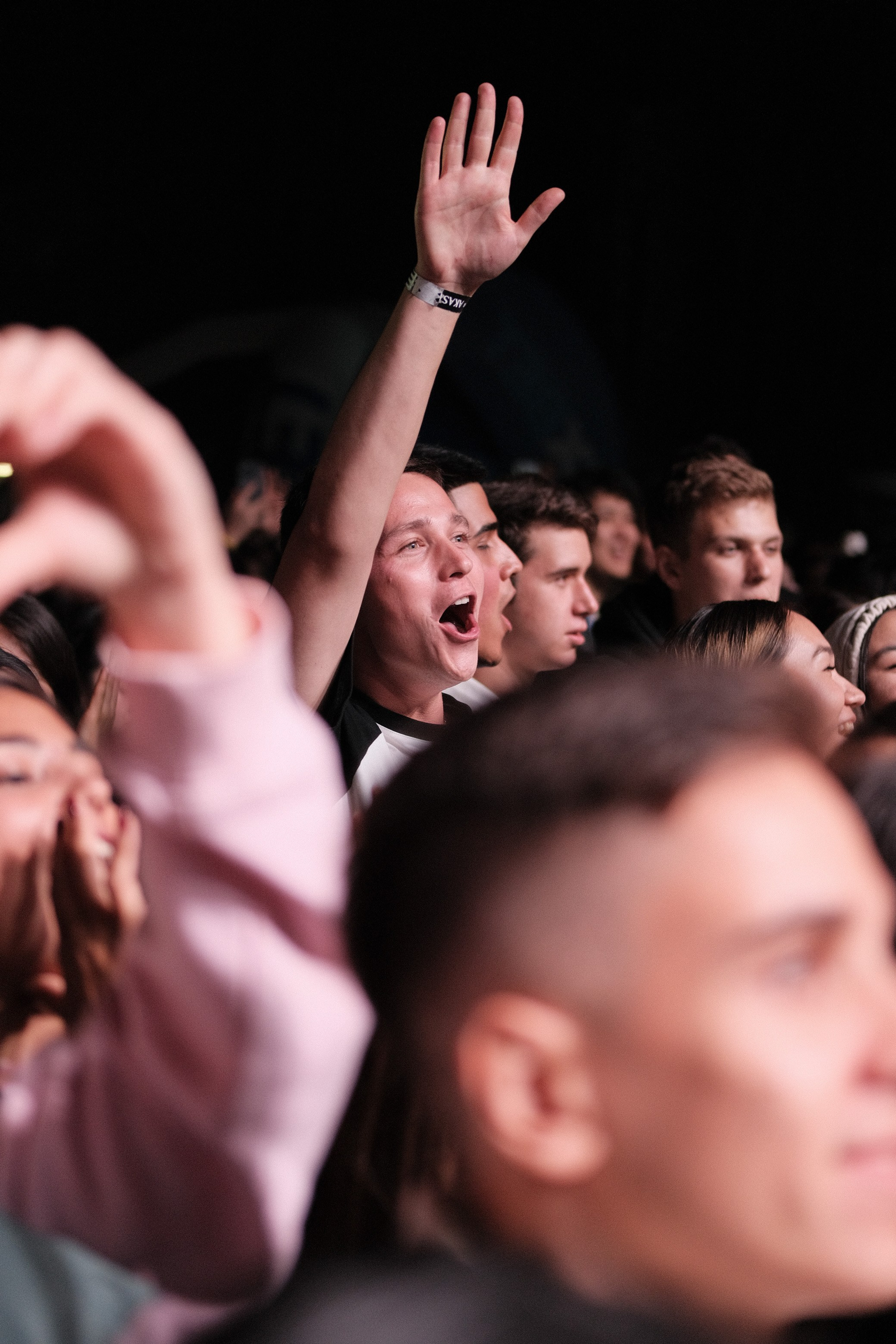 Летний фестиваль «Picnic». Профессиональный фотограф