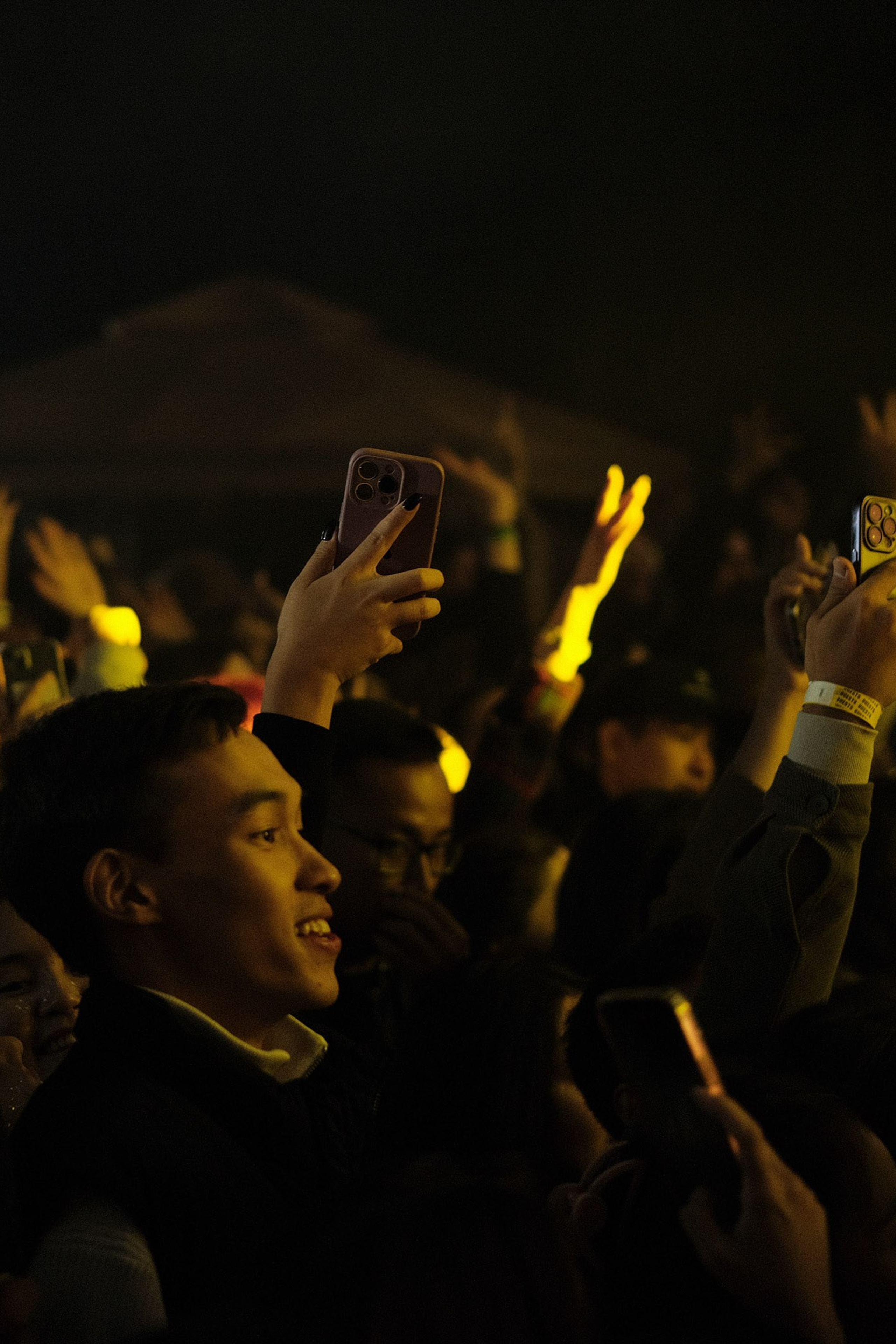 Летний фестиваль «Picnic». Профессиональный фотограф