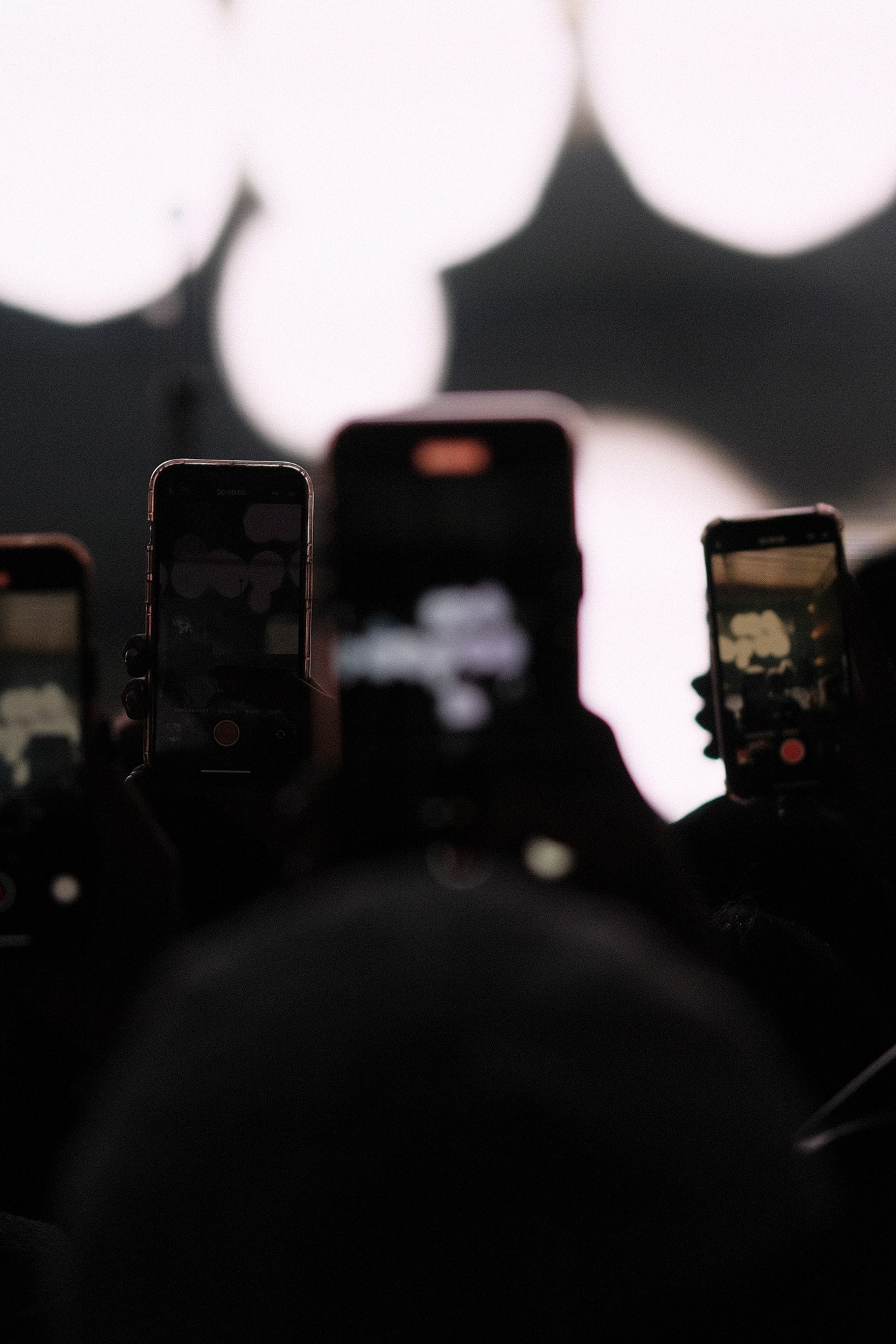 Летний фестиваль «Picnic». Профессиональный фотограф