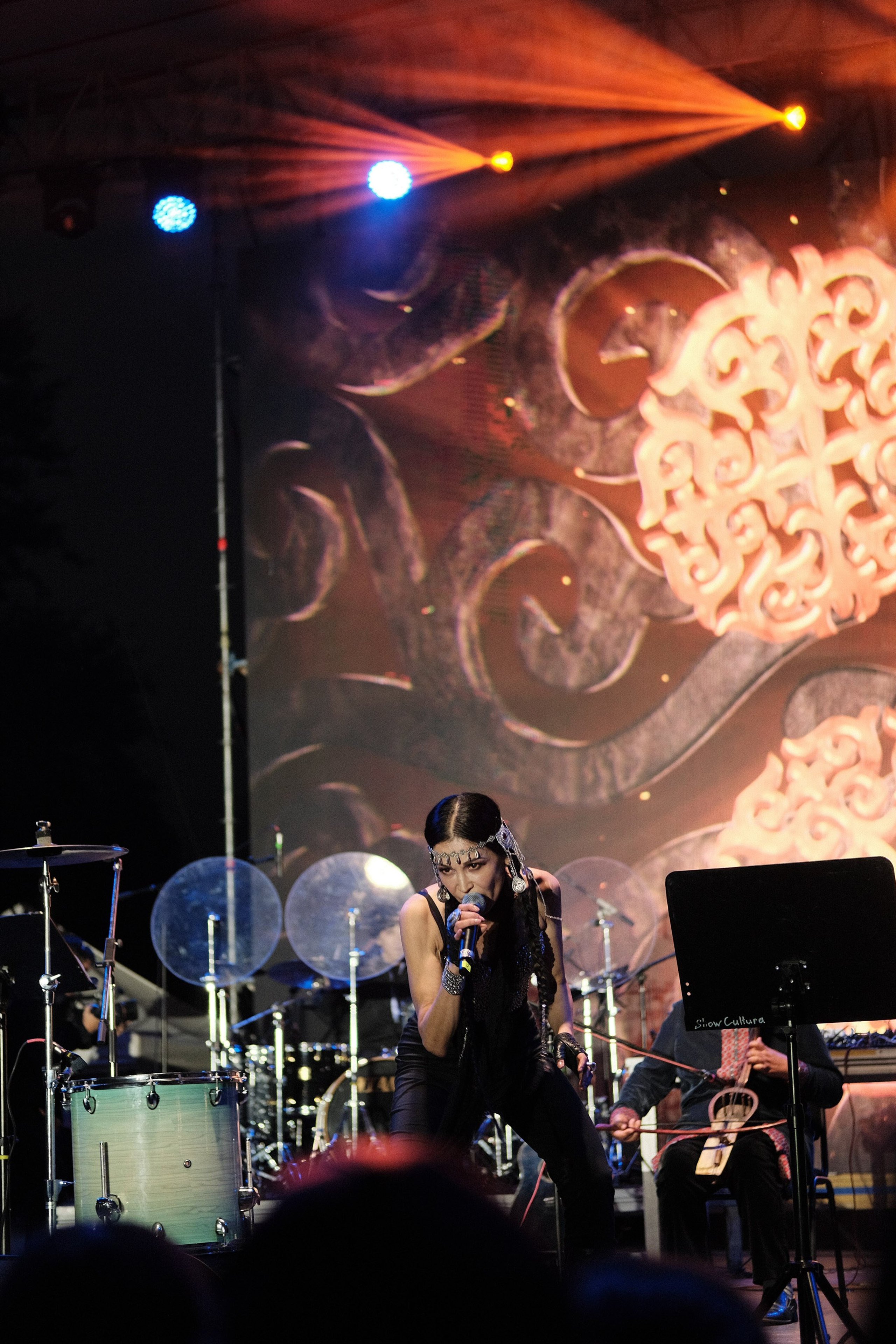 Летний фестиваль «Picnic». Профессиональный фотограф