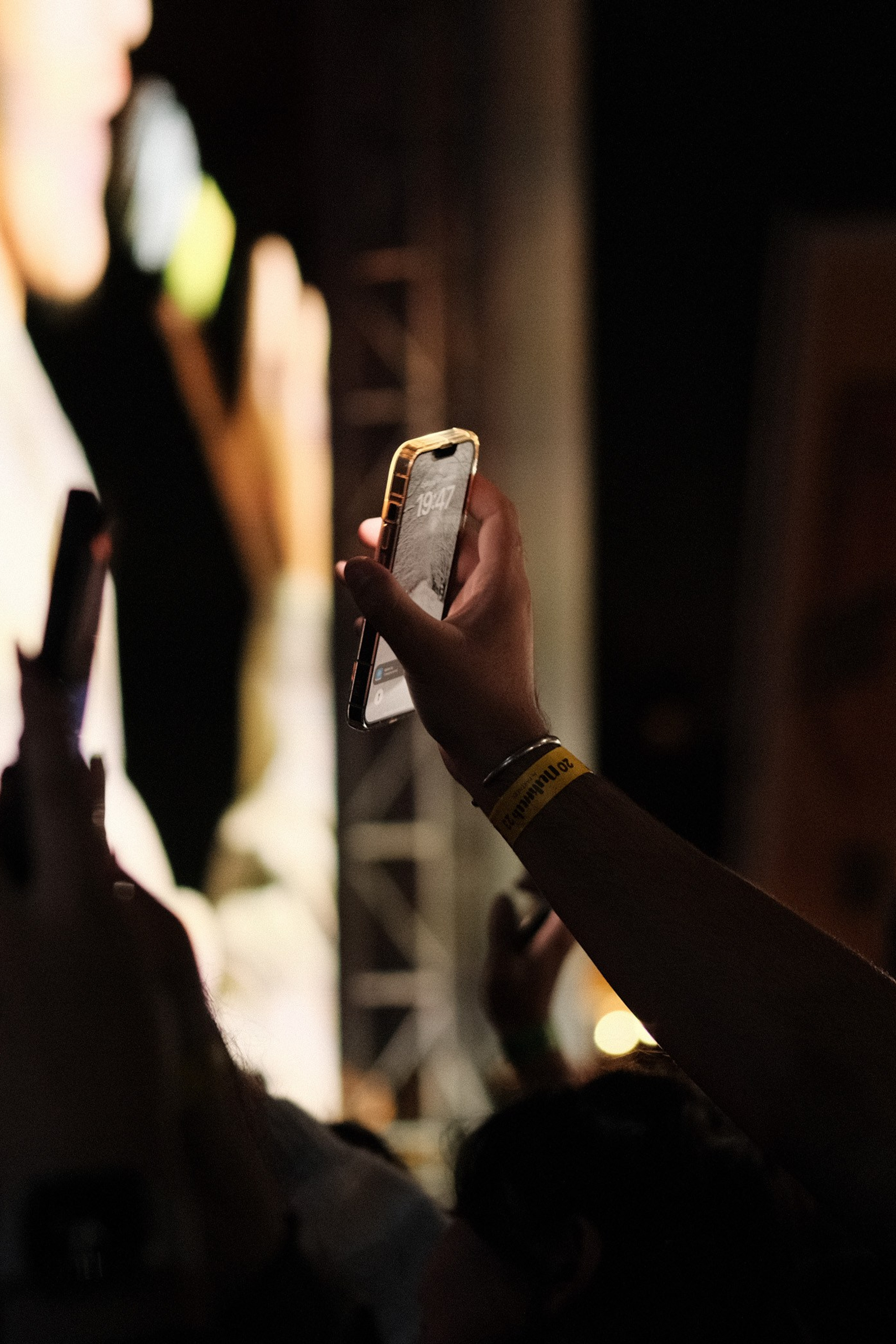 Летний фестиваль «Picnic». Профессиональный фотограф