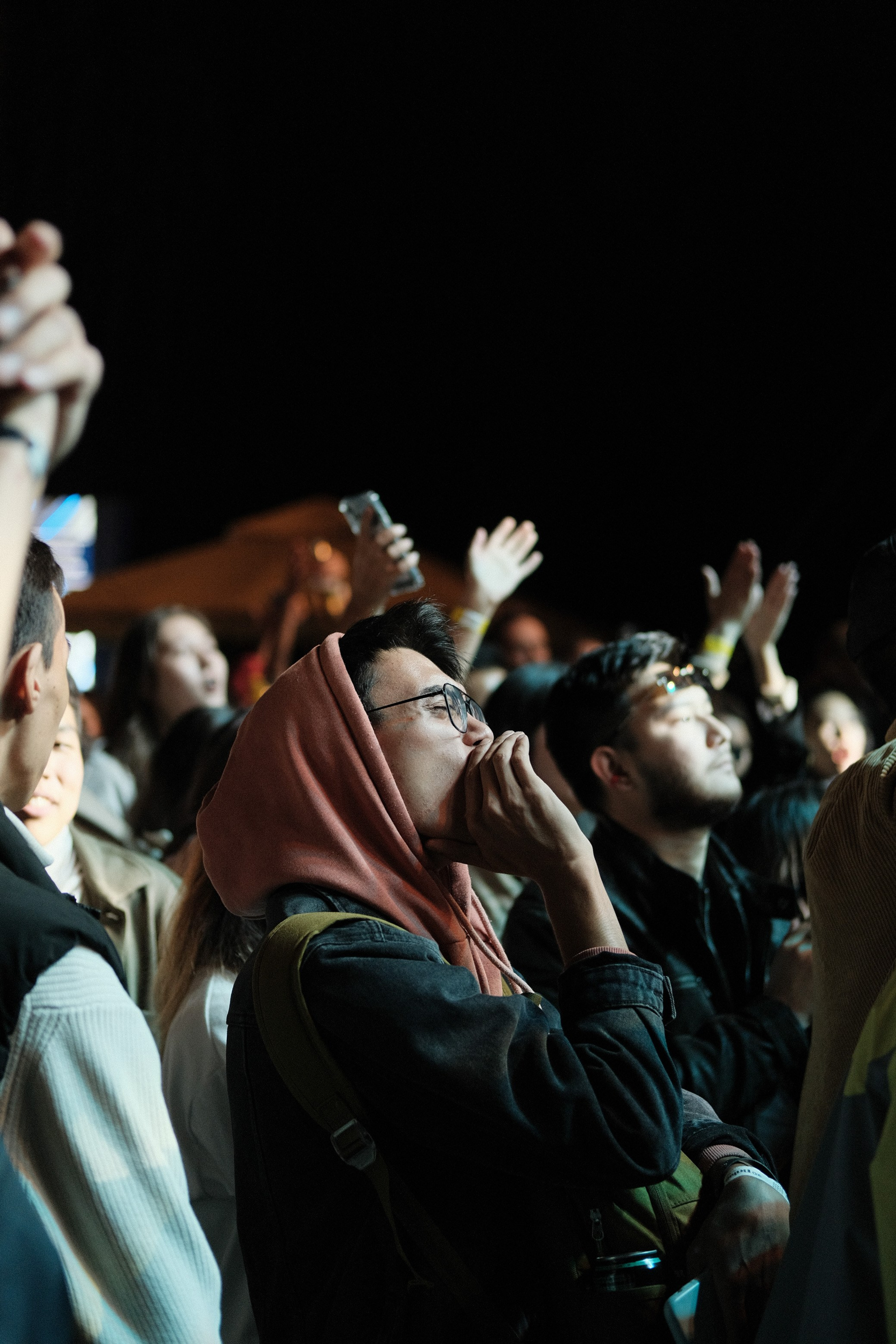 Летний фестиваль «Picnic». Профессиональный фотограф