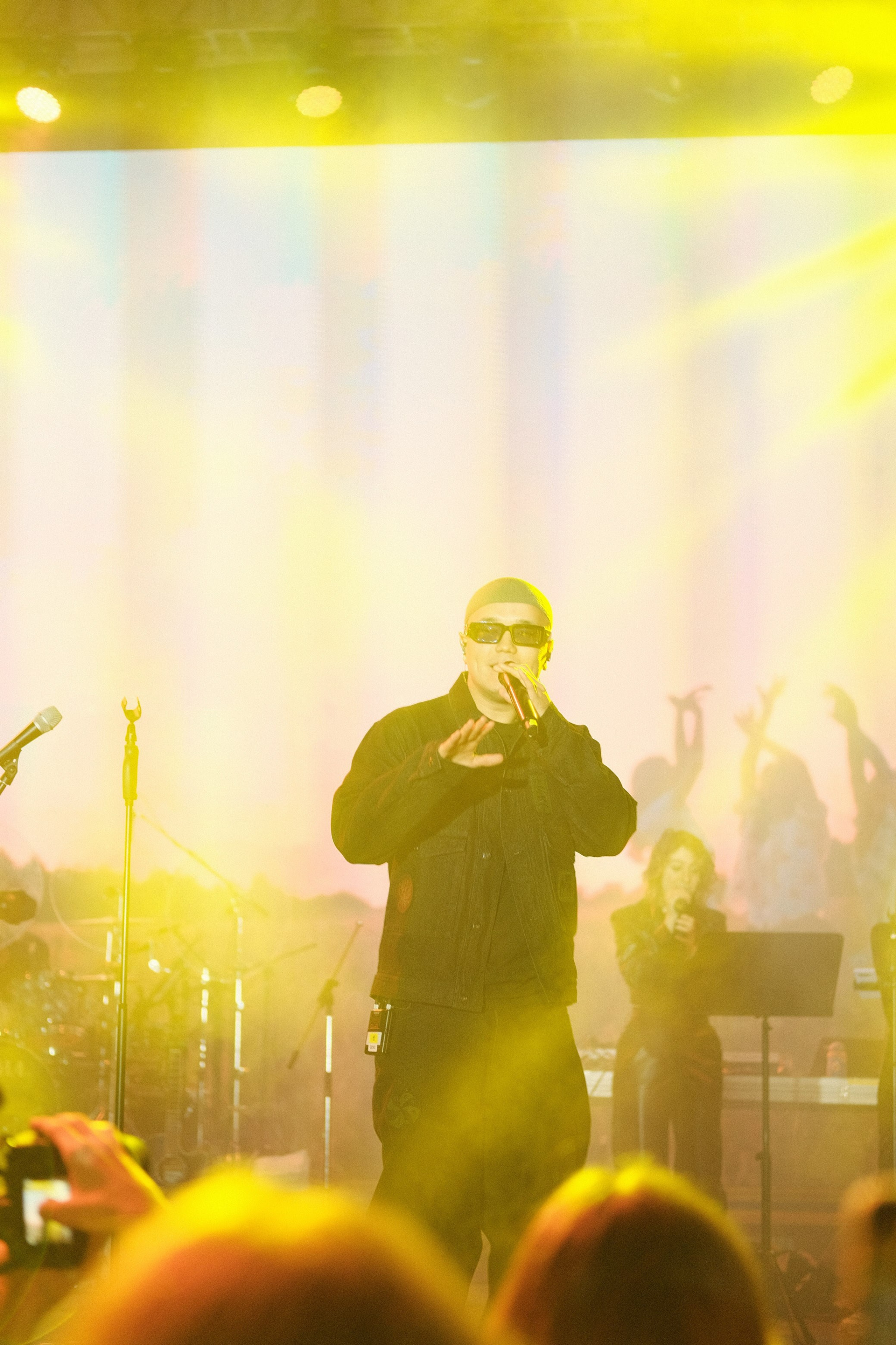 Летний фестиваль «Picnic». Профессиональный фотограф