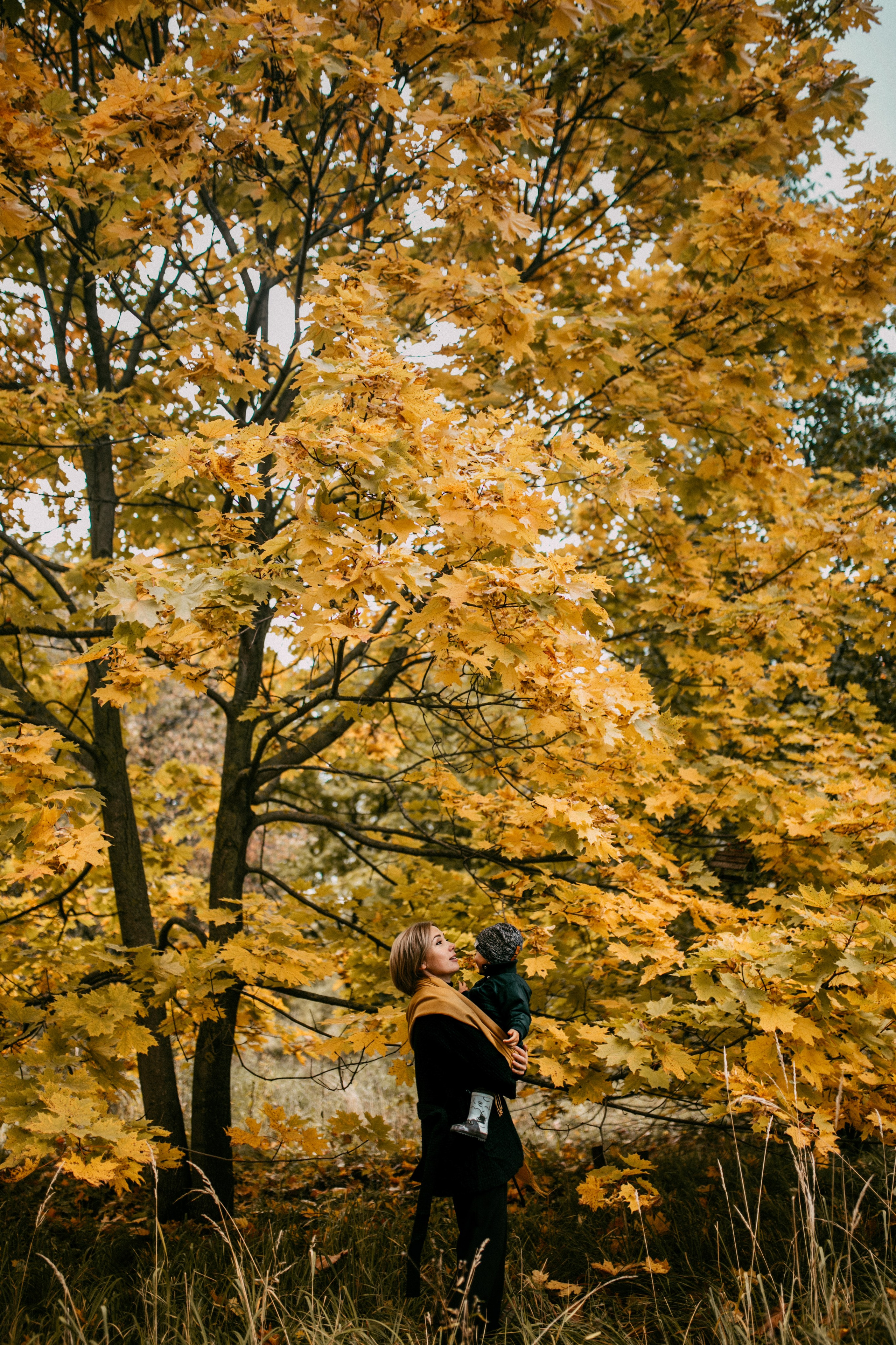 ОСЕННИЙ ПОКРОВ