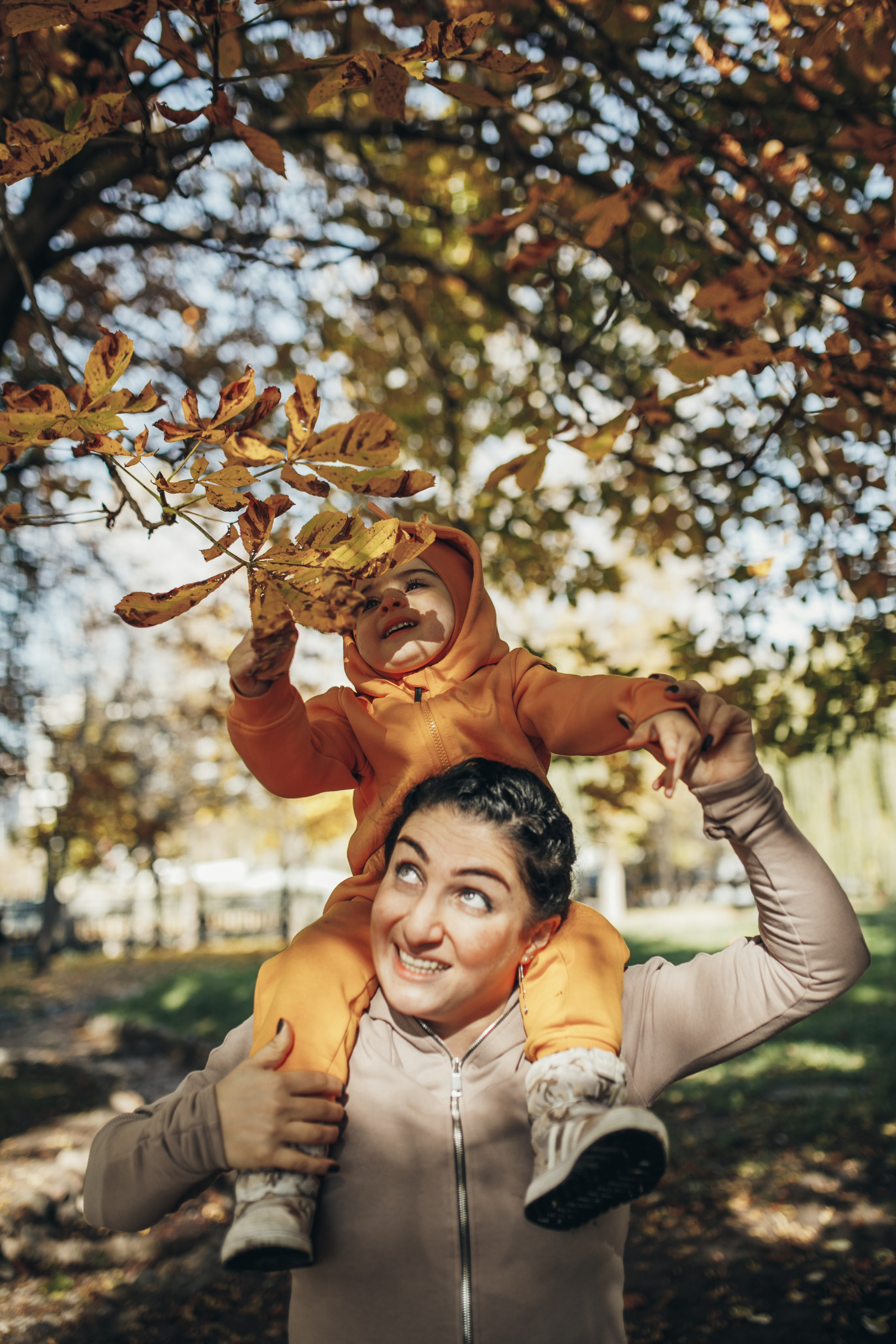 КОГДА ДЕРЕВЬЯ БЫЛИ БОЛЬШИМИ