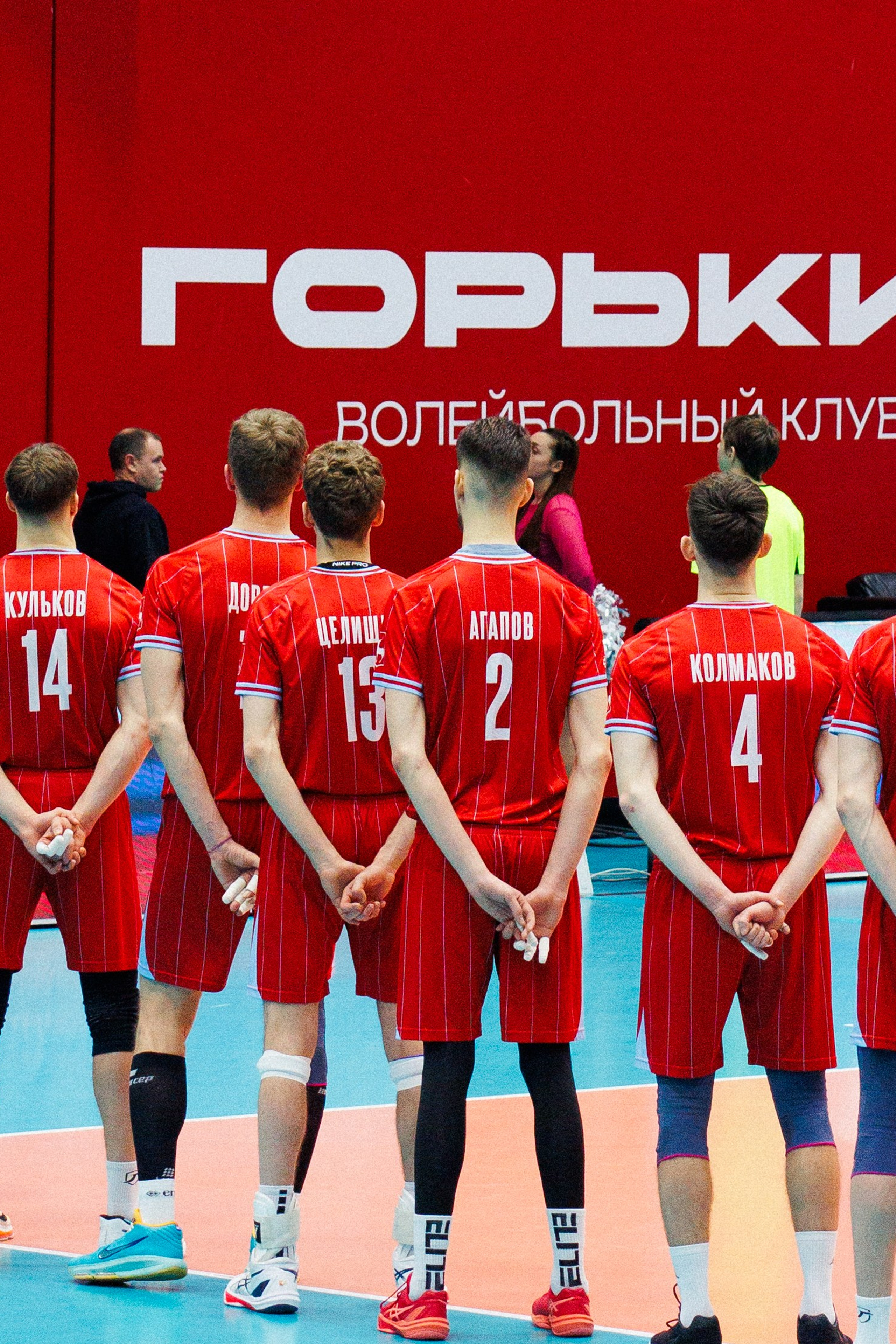 Чемпионат России&nbsp;по&nbsp;волейболу