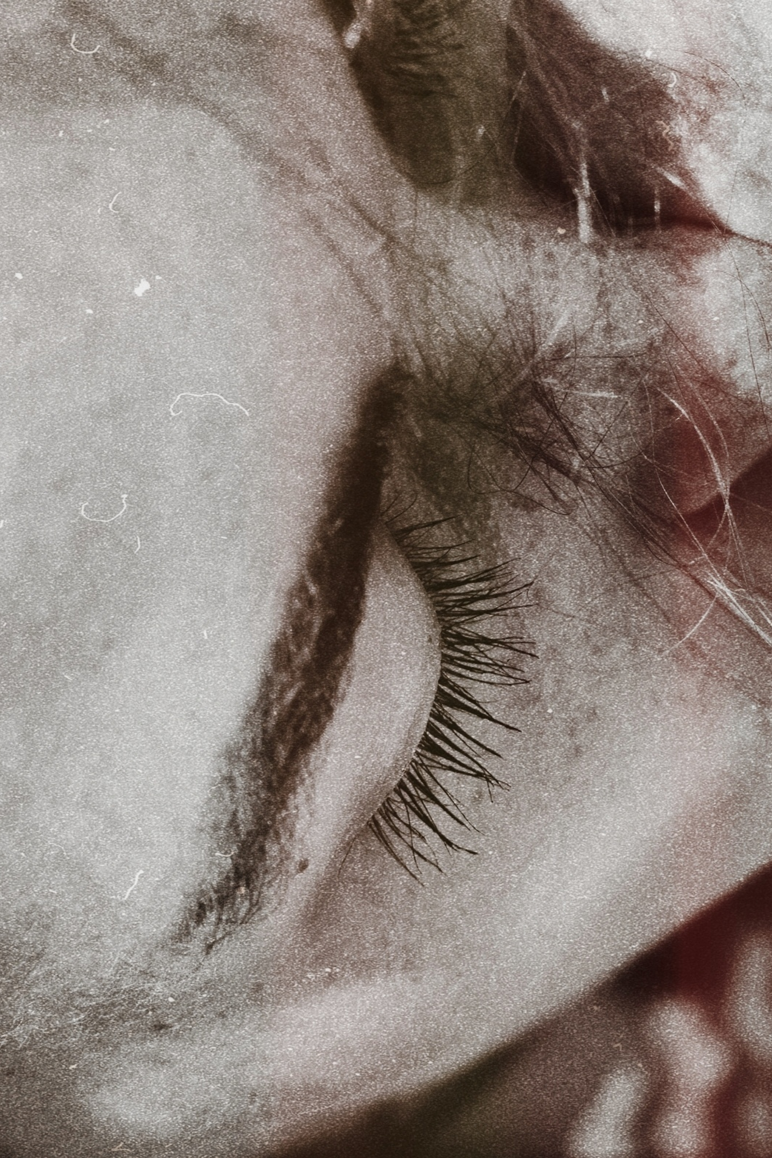 Best feedback photographer. Photographer in Georgia UAE Russia Nekit Fox