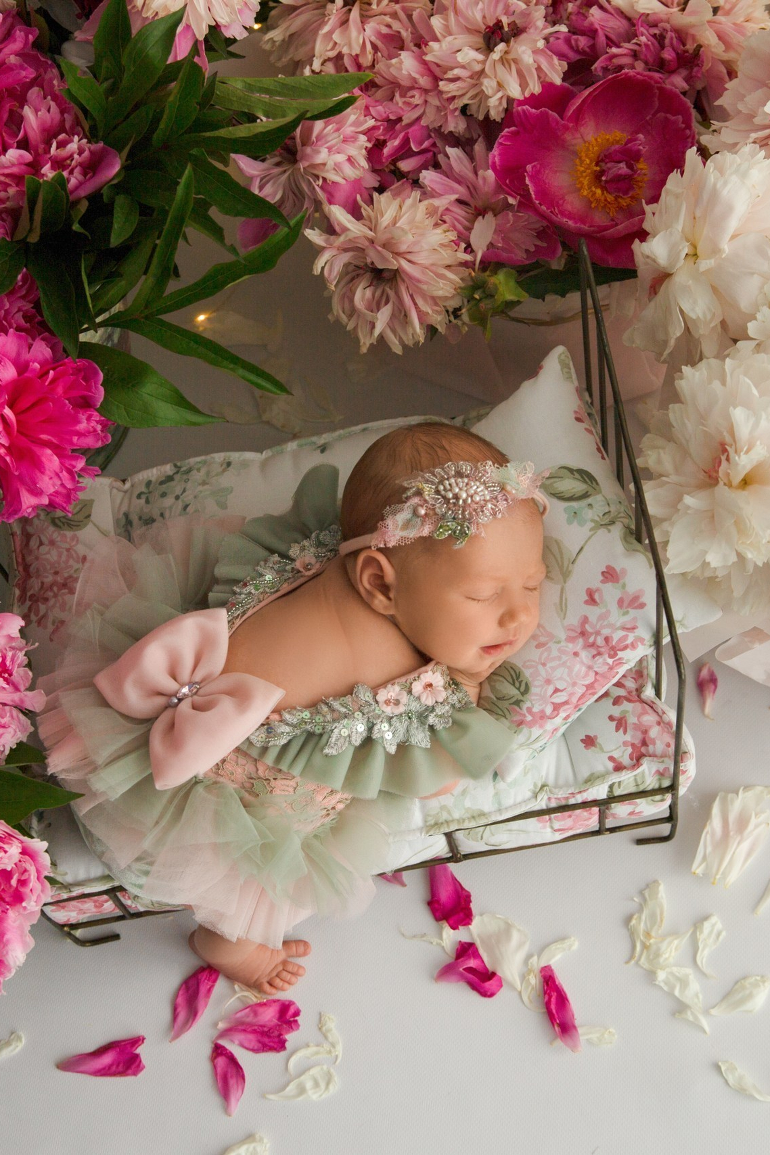 Фотодни. Цветы