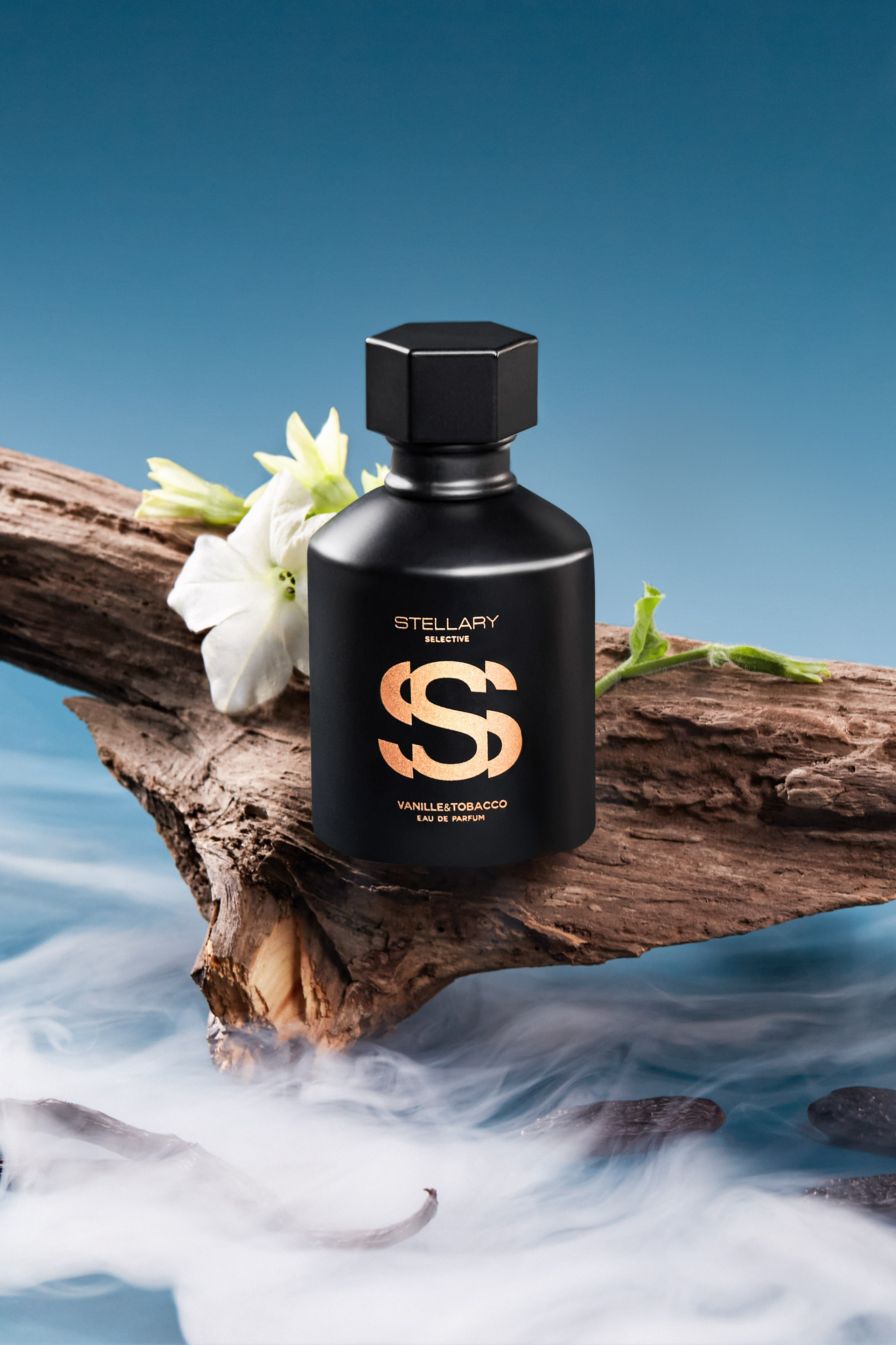 Photo by Ksenia Bolshakova