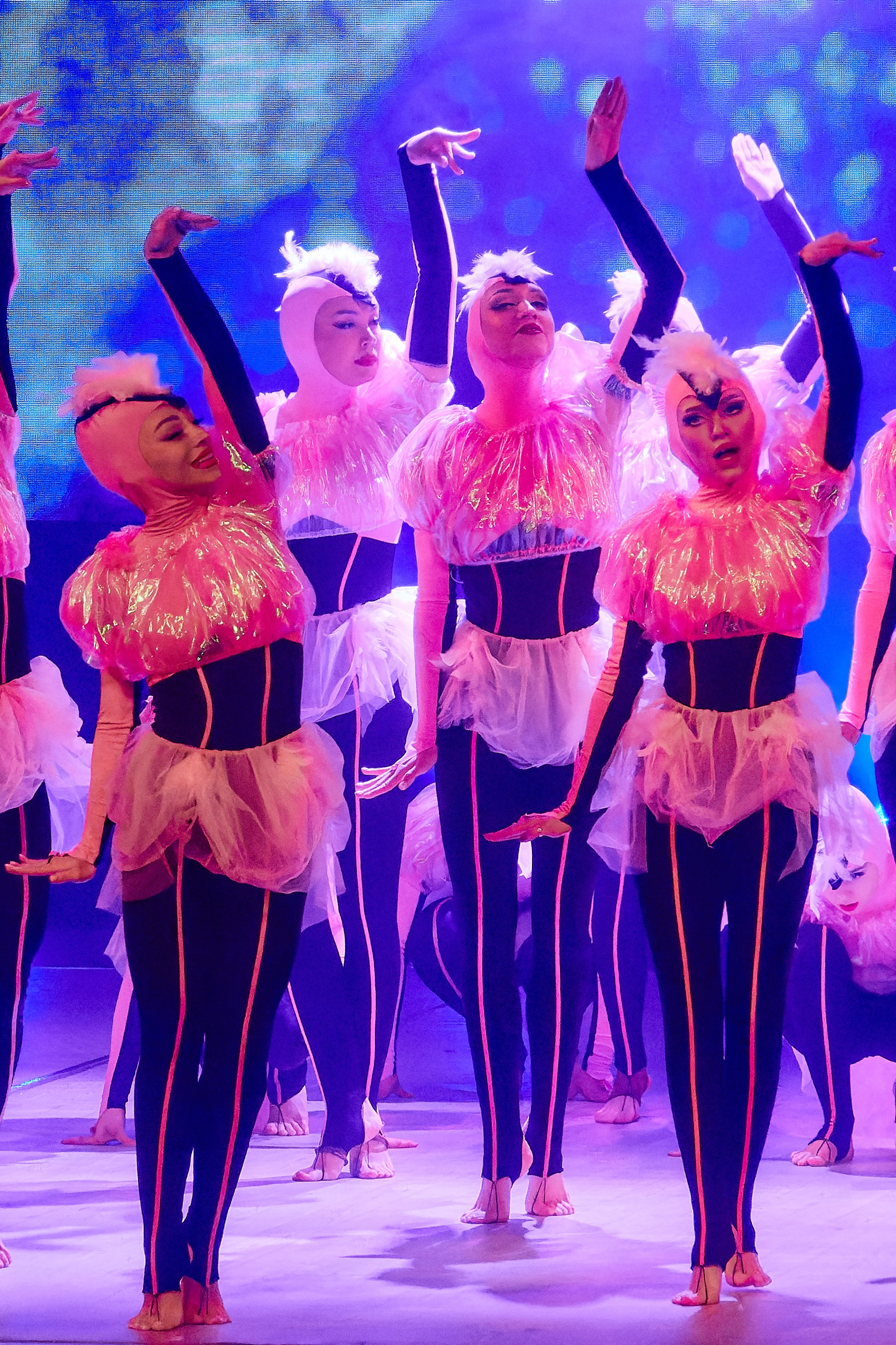 TODES-это уникальный танцевальный мир, вселенная Аллы Духовой!