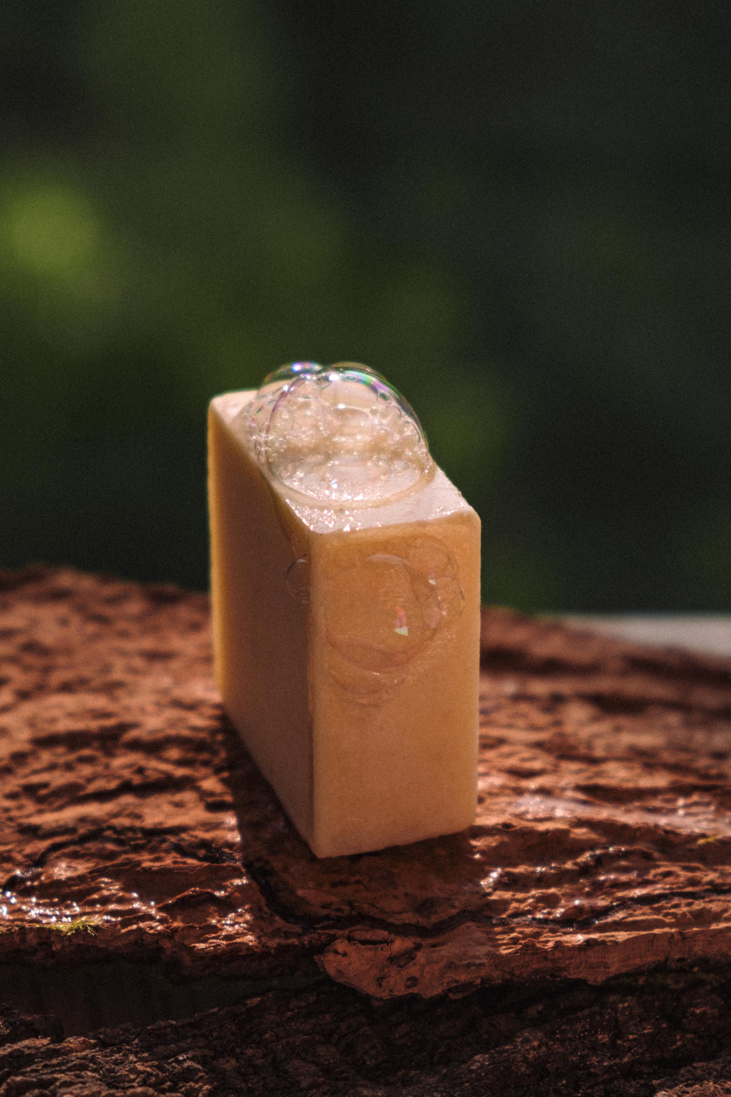 Предметная