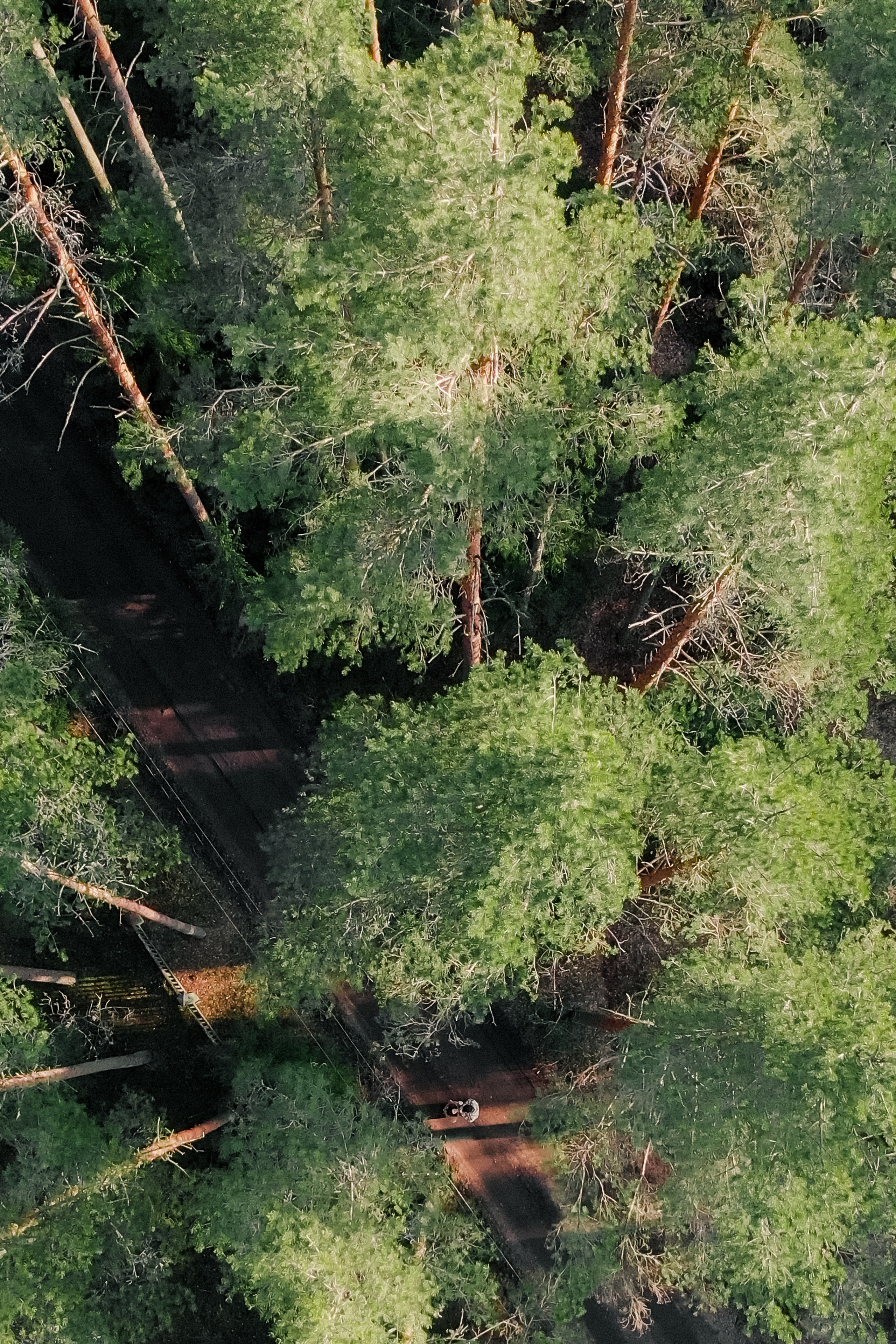 Маша и Рома