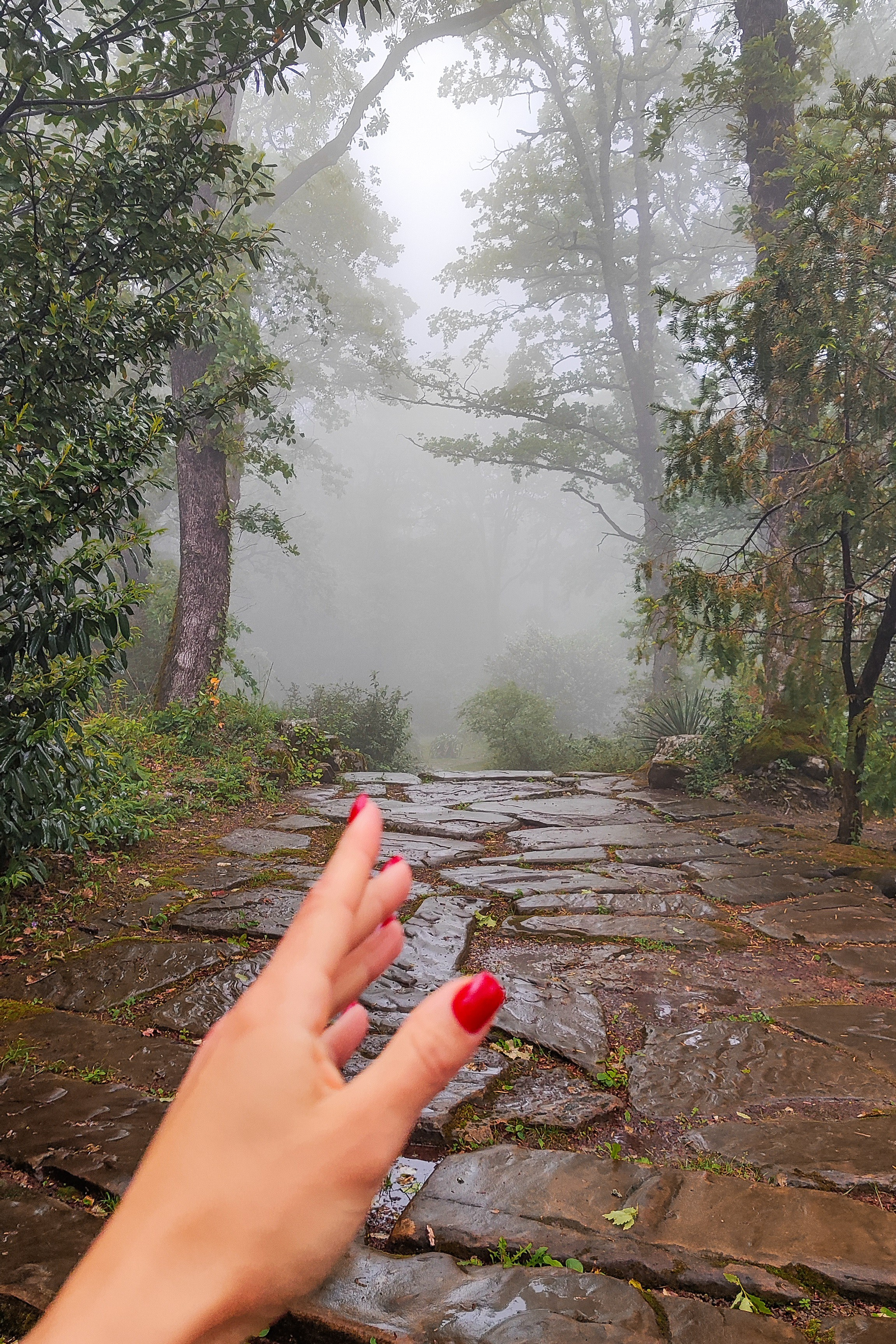 Блог. Живые снимки! Фотограф Даша Бендер