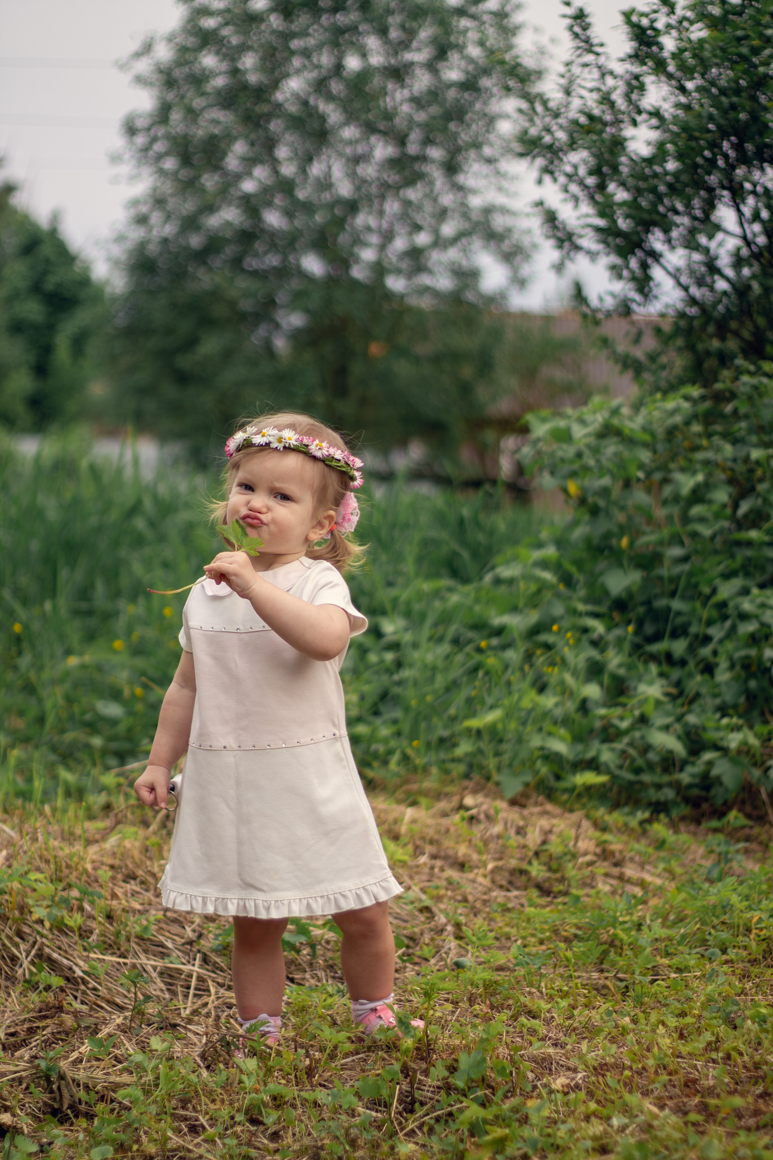 Истории. Свадебный и семейный фотограф Бологое Тверь — Ninel